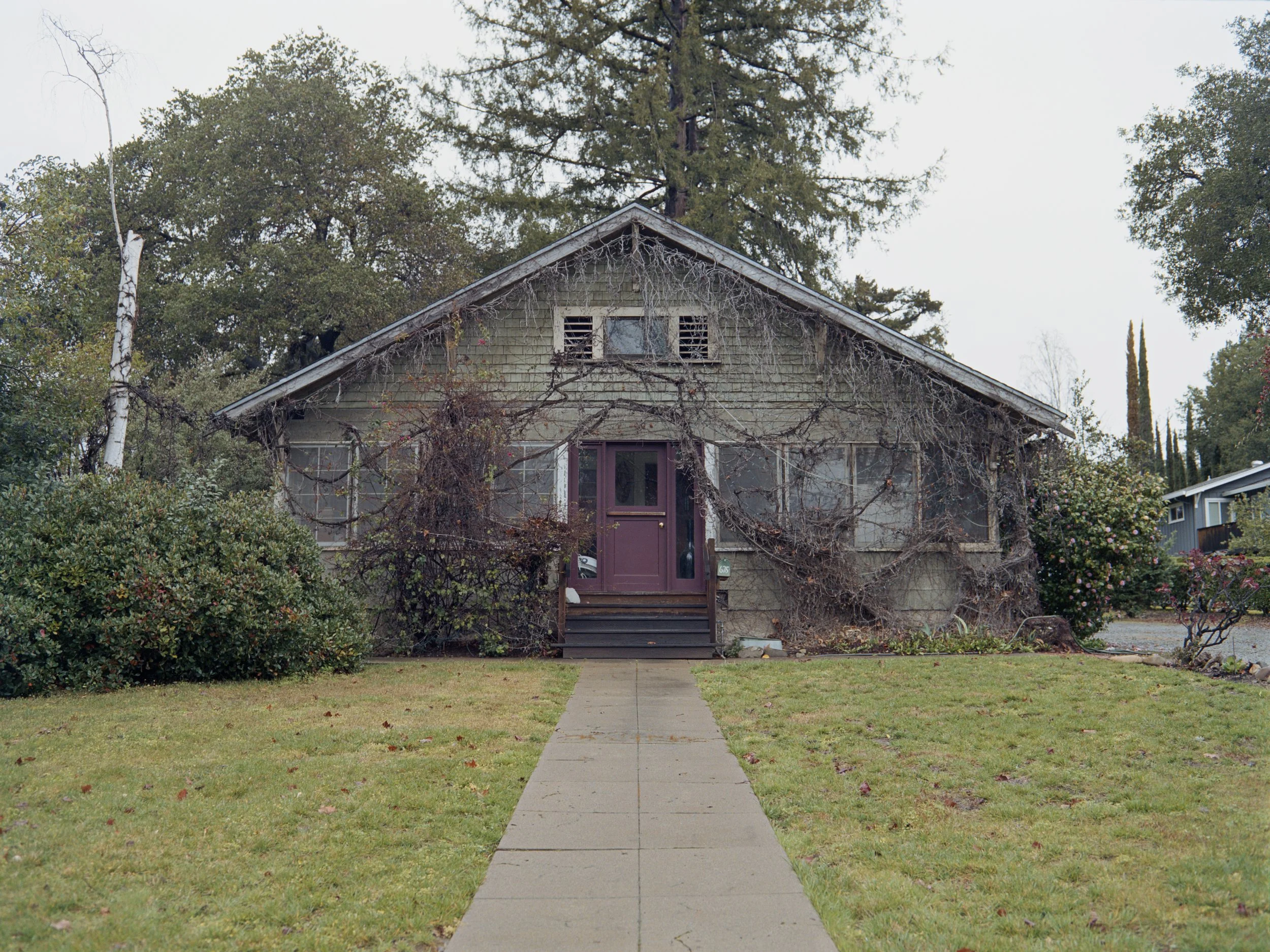 2-11-26-KodakPortra160-120-R148-15 copy.jpg