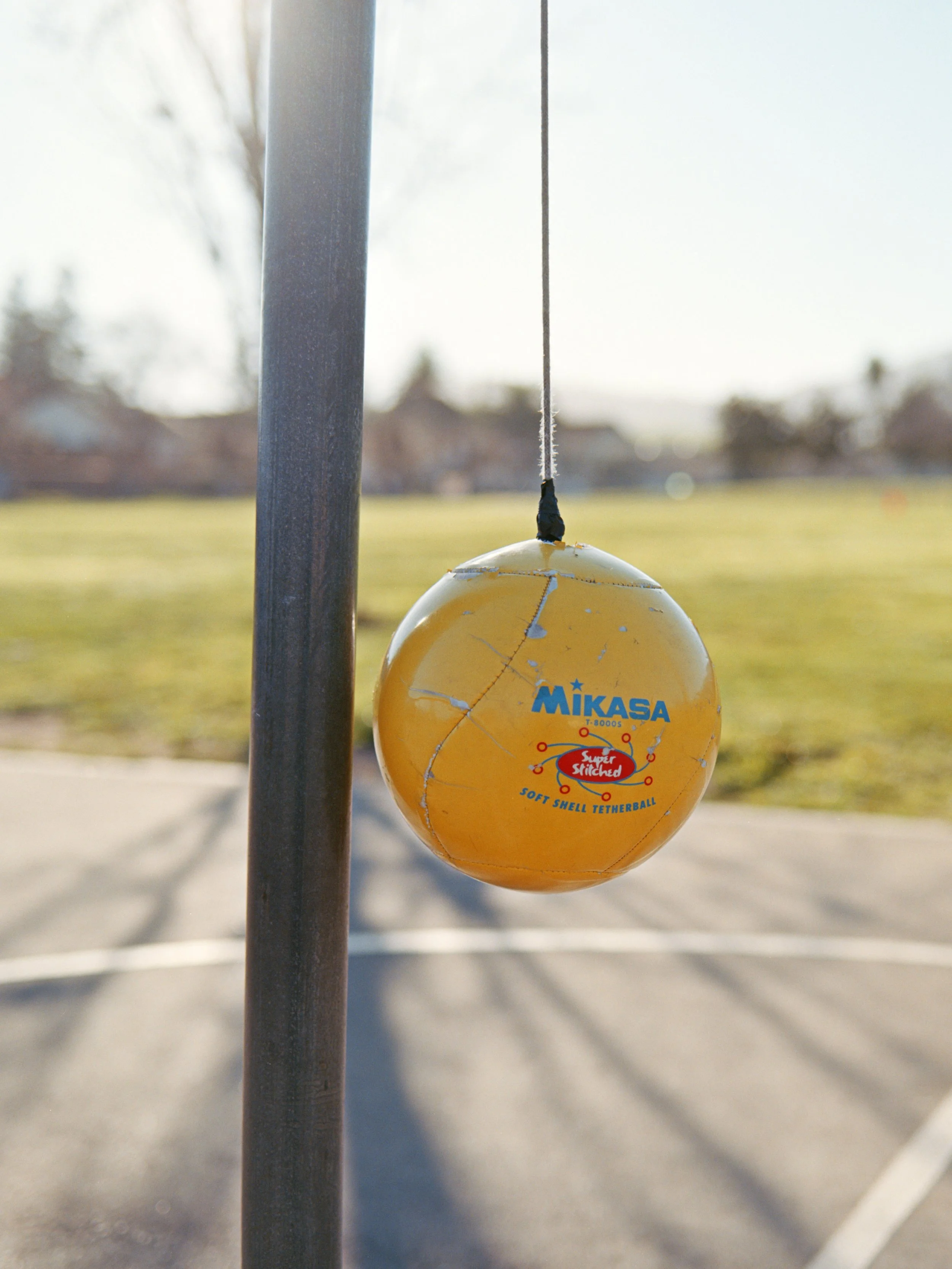 2-3-26-KodakEktar-100-120-R146-9 copy.jpg