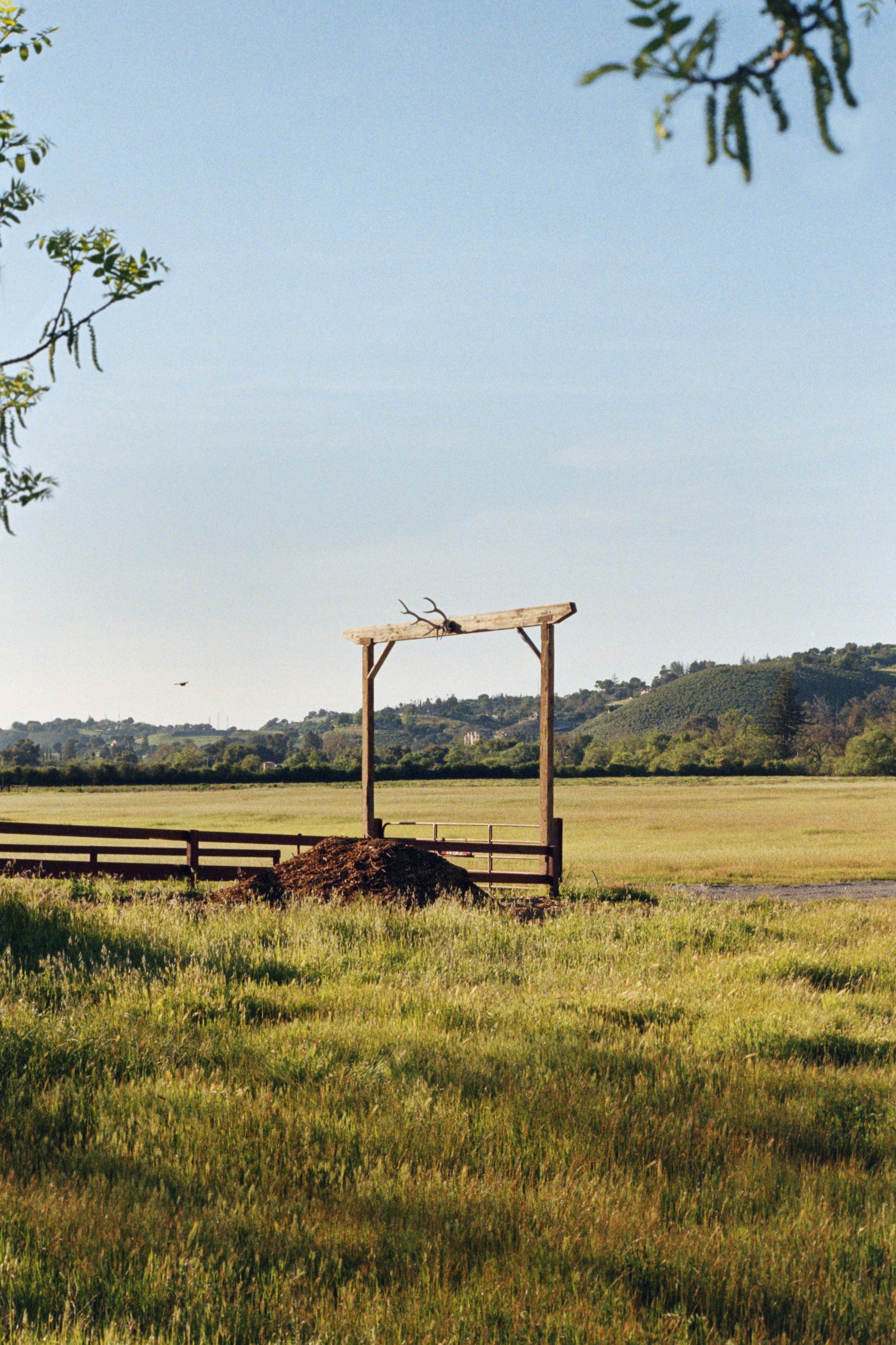 4-9-24-KodakGold-200-R25_48Bit_g2p0138 copy.jpg