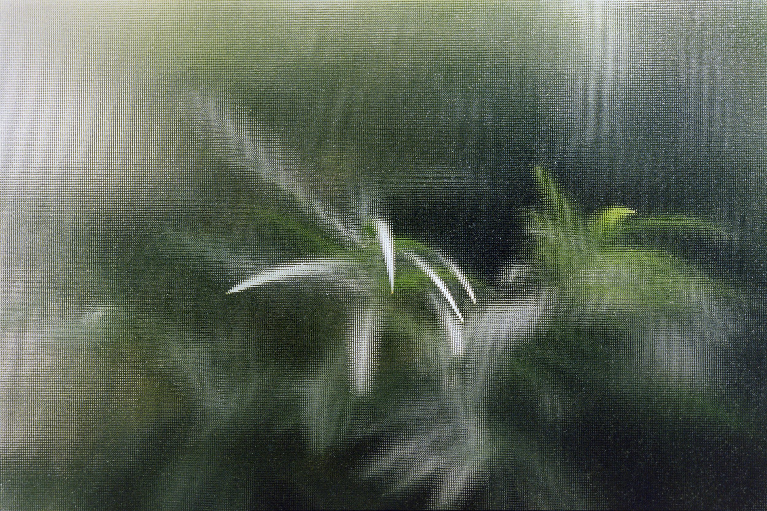 12-23-23-KodakPortra-400-R9_48Bit_g2p0732a copy.jpg