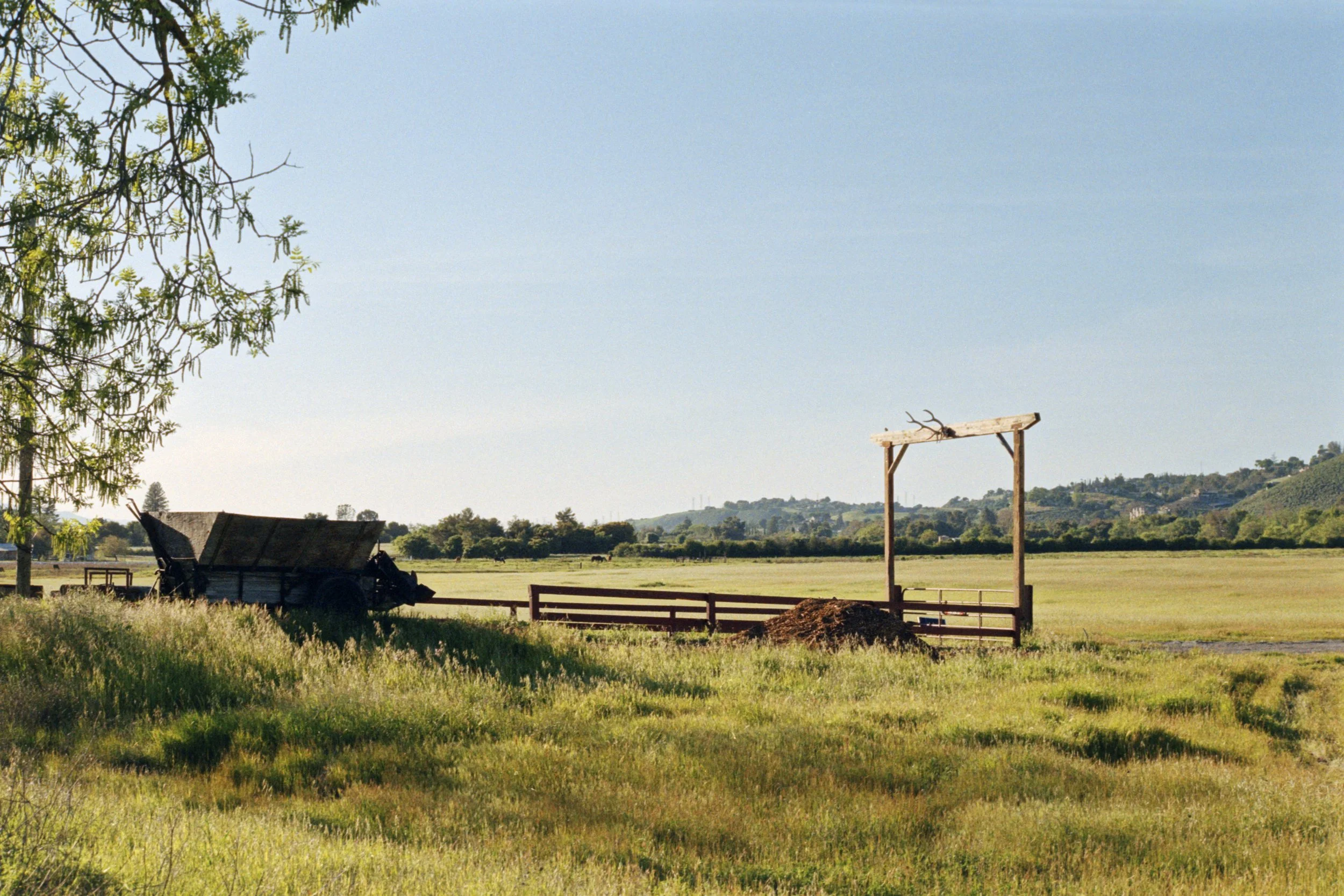 4-9-24-KodakGold-200-R25_48Bit_g2p0136 copy.jpg