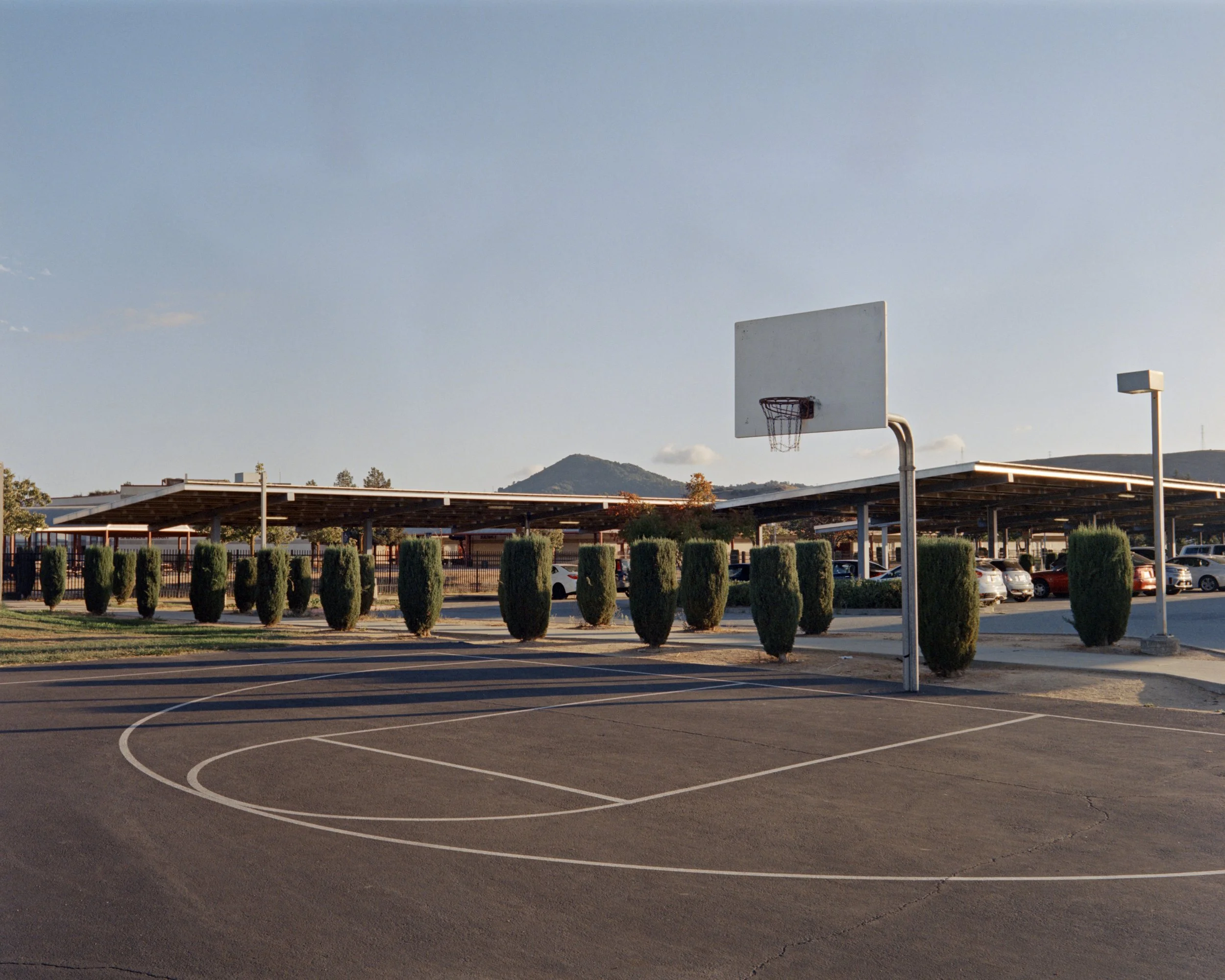 10-8-25-Kodakvision3-250D-120-R124-5 copy.jpg