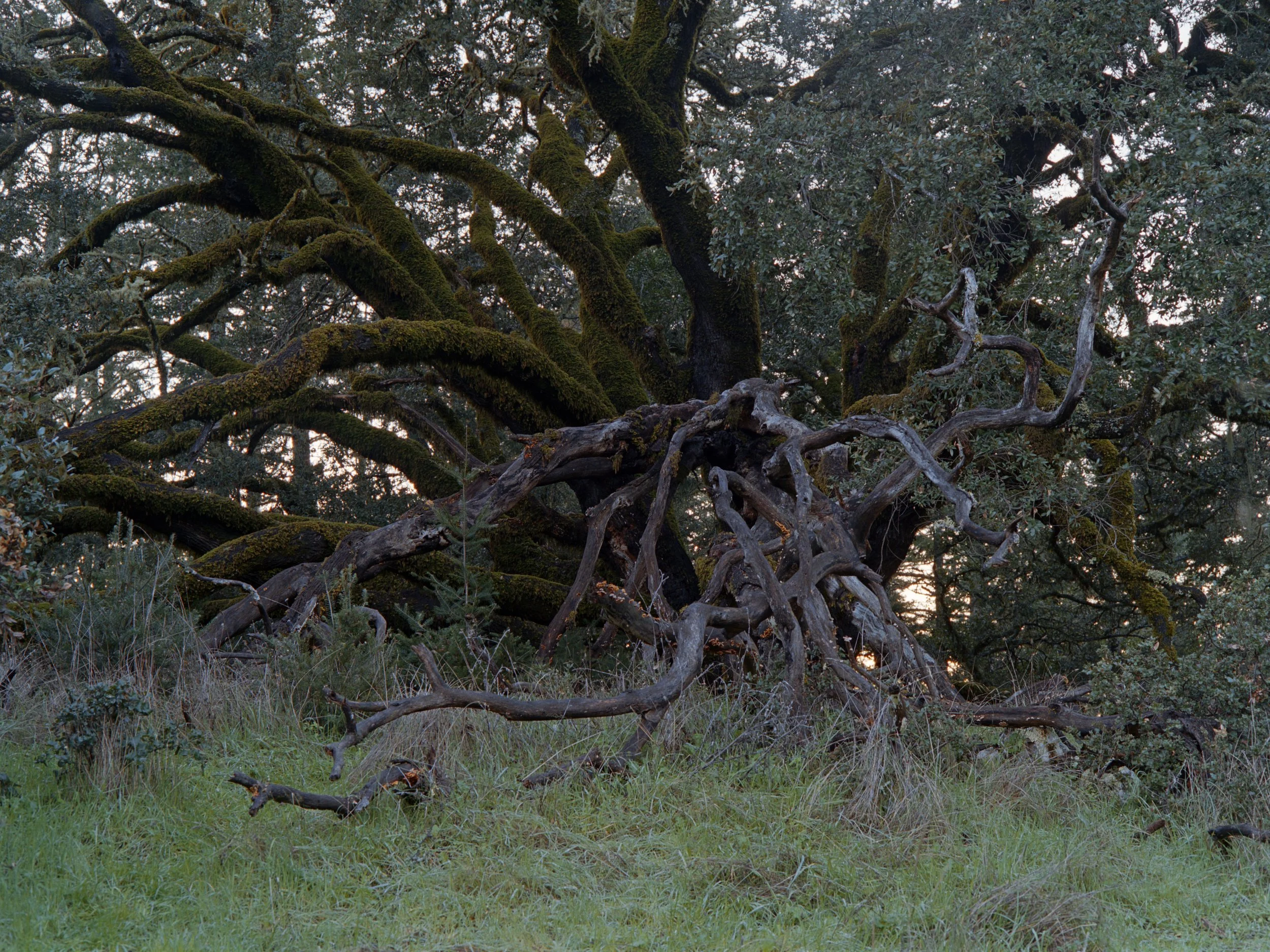 12-27-25-Kodakportra400-120-R142-16 copy.jpg