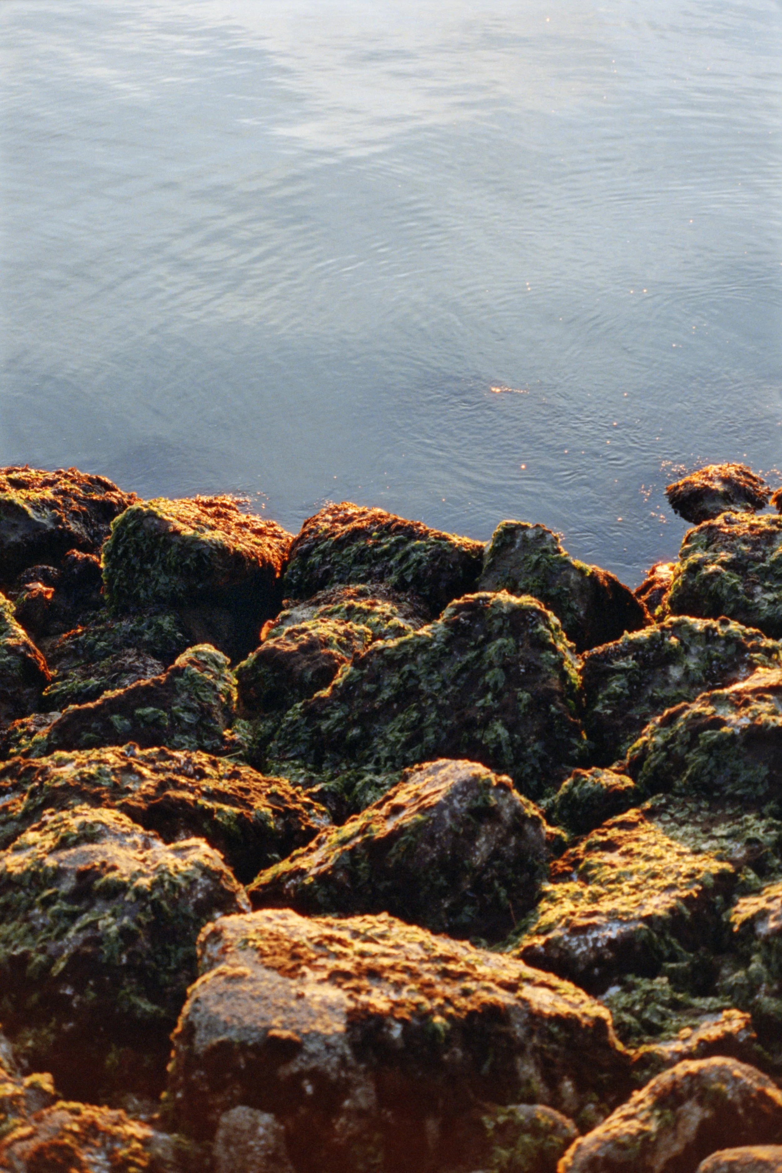 11-10-24-Cinestill400D-R57-_48Bit_g2p0494 copy.jpg