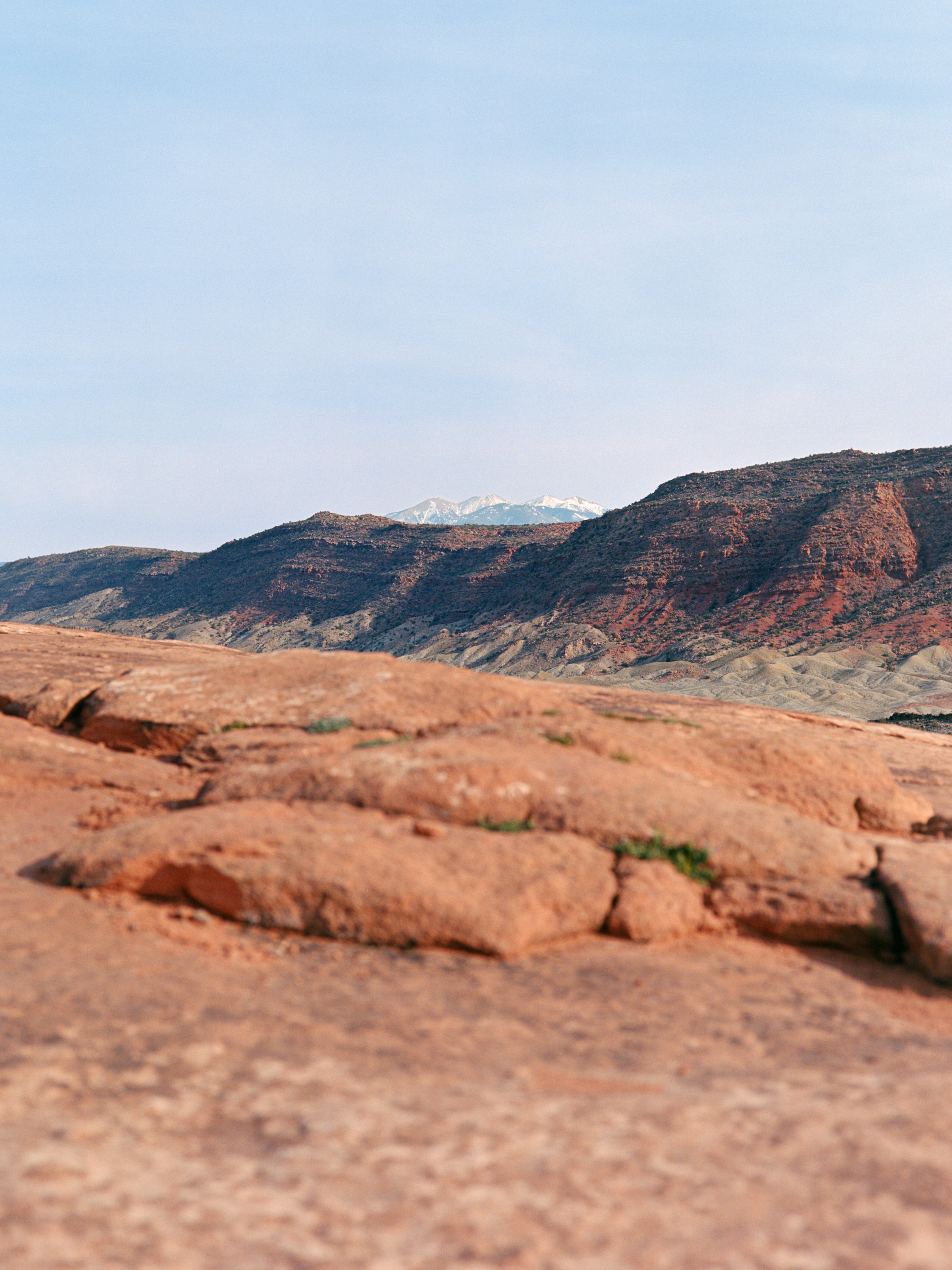 3-15-26a-KodakEktar100-120-R158-16 copy.jpg