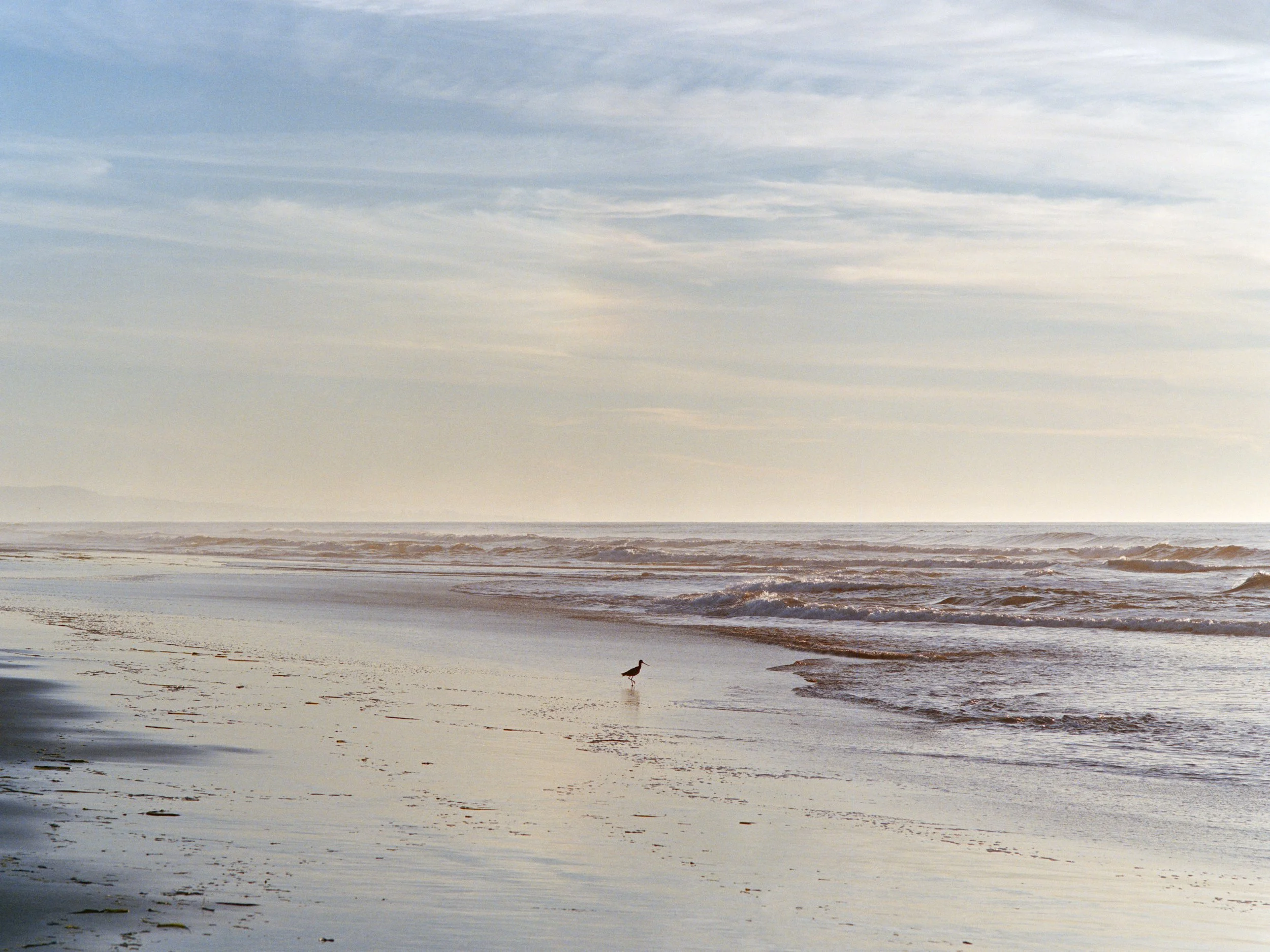 12-7-25-Kodakportra400-120-R136-12 copy.jpg