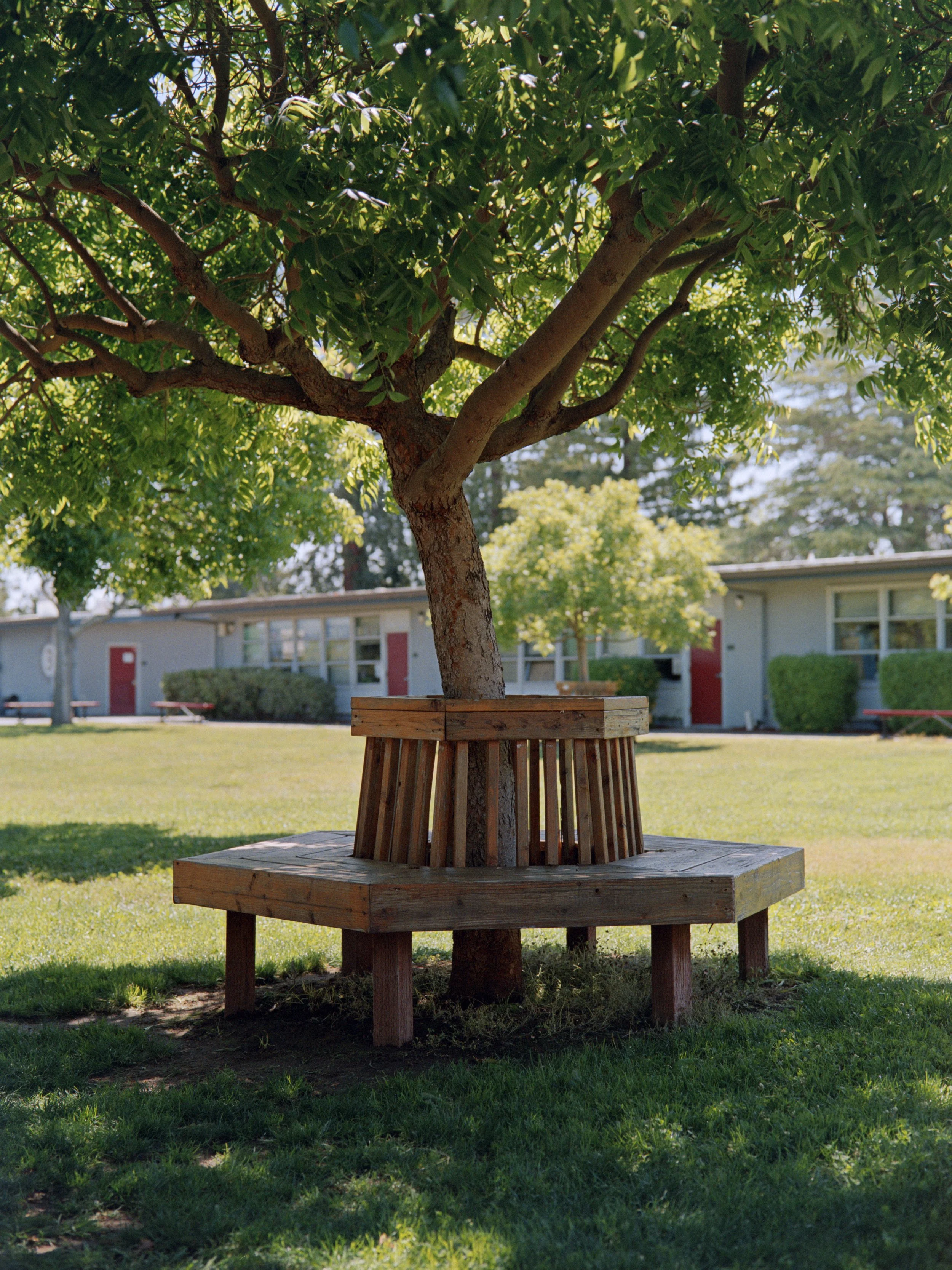 4-15-26-KodakPortra800-120-R177-10 copy.jpg