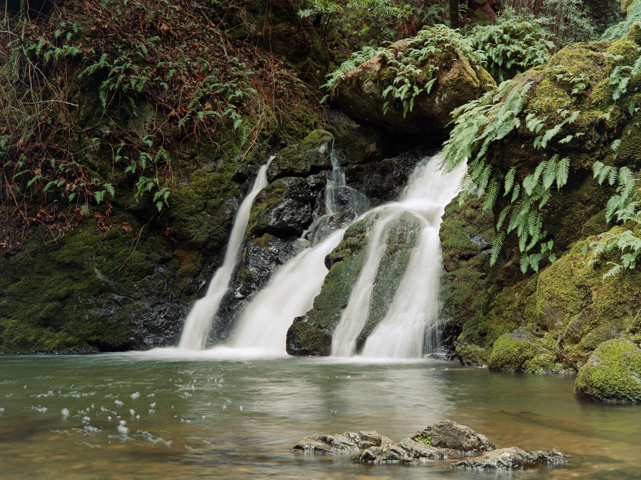 12-27-25-Kodakportra800-120-R143-2 copy.jpg