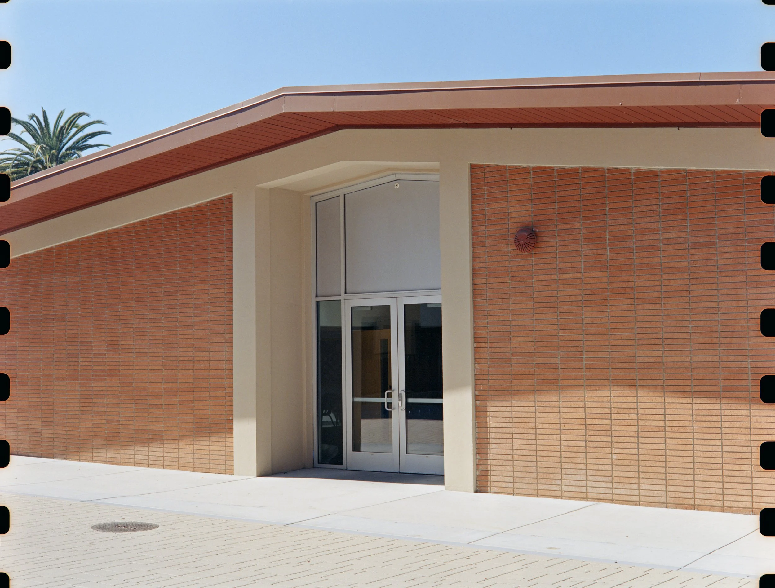 10-18-25-Kodakvision3-250D-120-R128-1 copy.jpg