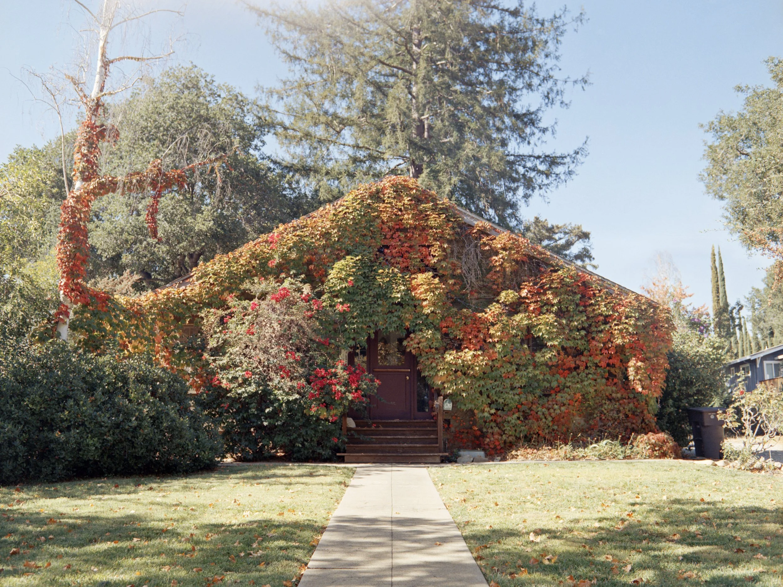 10-18-25-Kodakvision3-250D-120-R128-2 copy.jpg