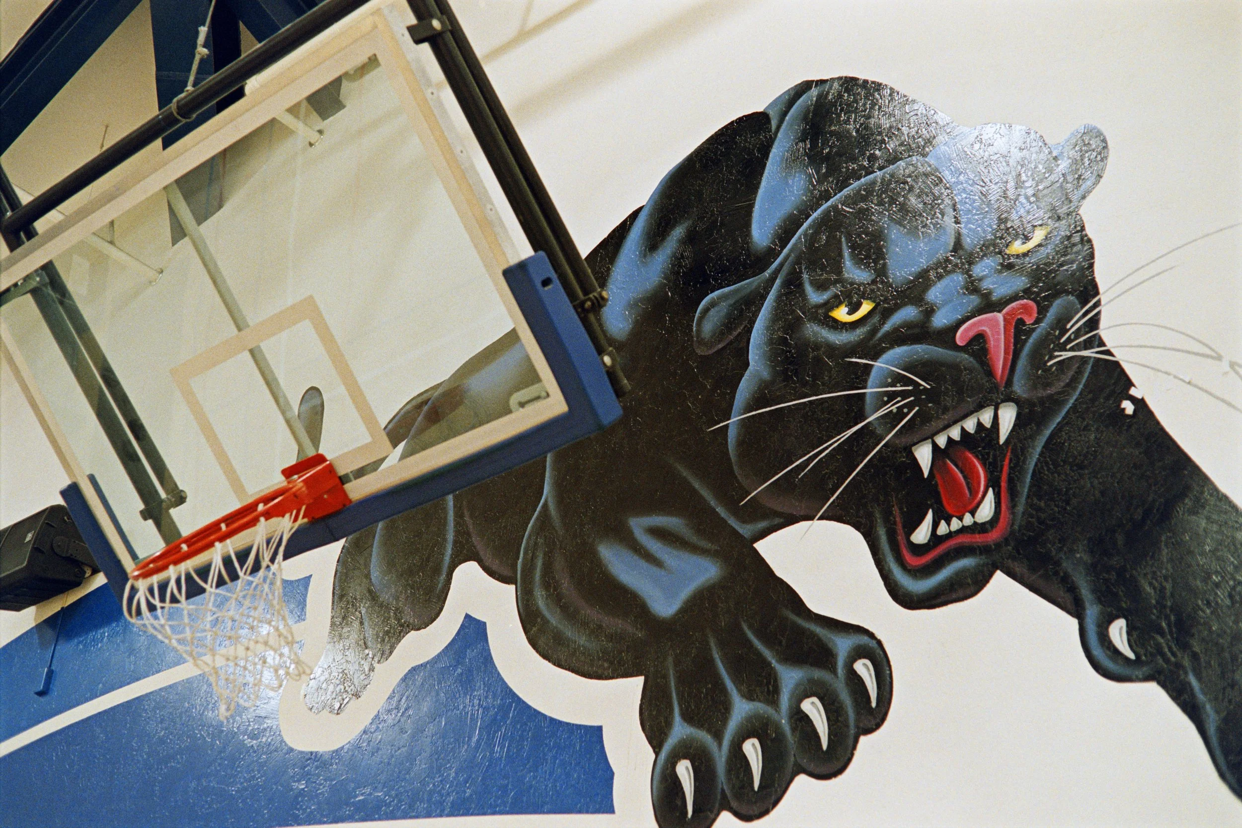 8-6-25-Kodakporta800-R107-25 copy 2.jpg