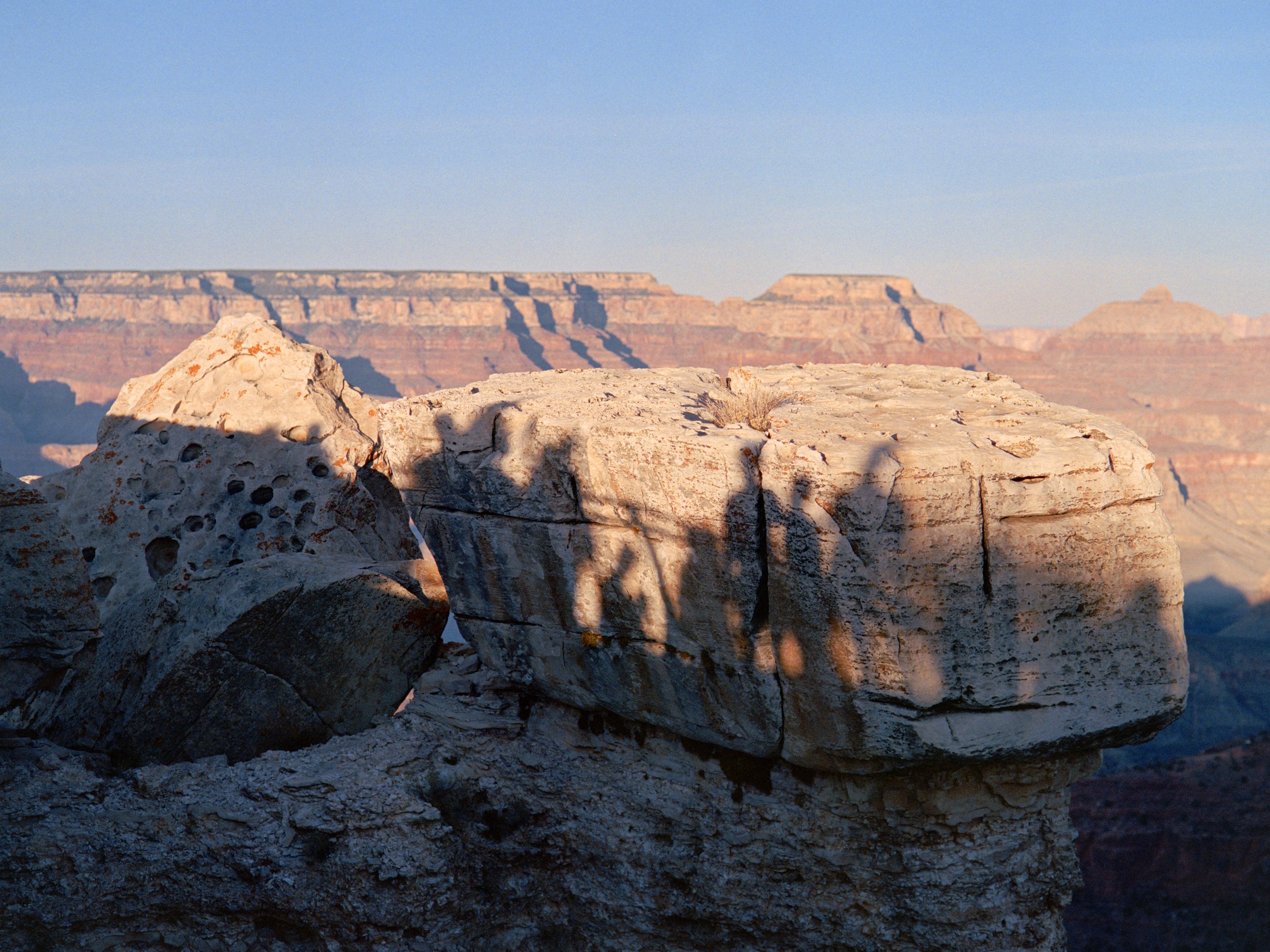 3-18-26-Kodakportra4000-120-R171-2 copy.jpg