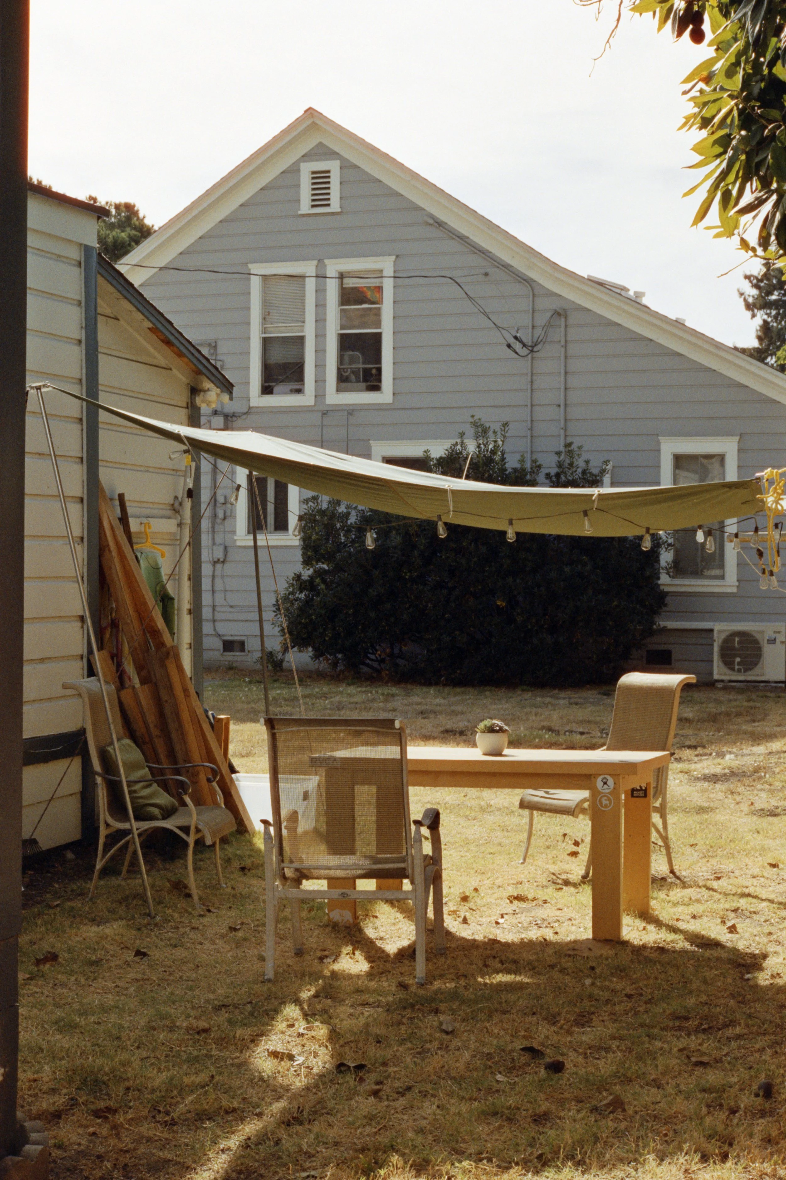 11-10-24-Cinestill400D-R57-_48Bit_g2p0467 copy.jpg