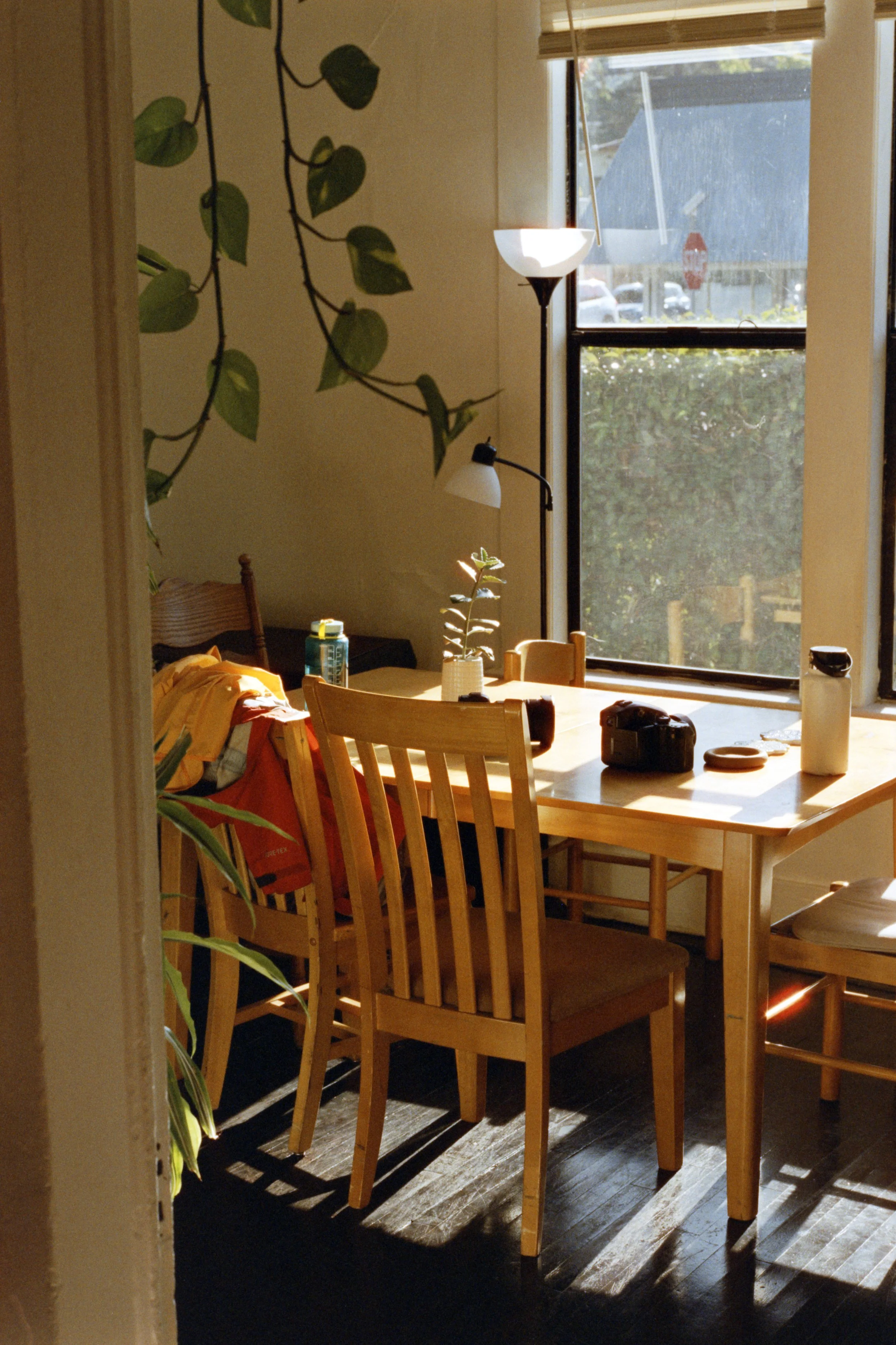 11-10-24-Cinestill400D-R57-_48Bit_g2p0462 copy.jpg