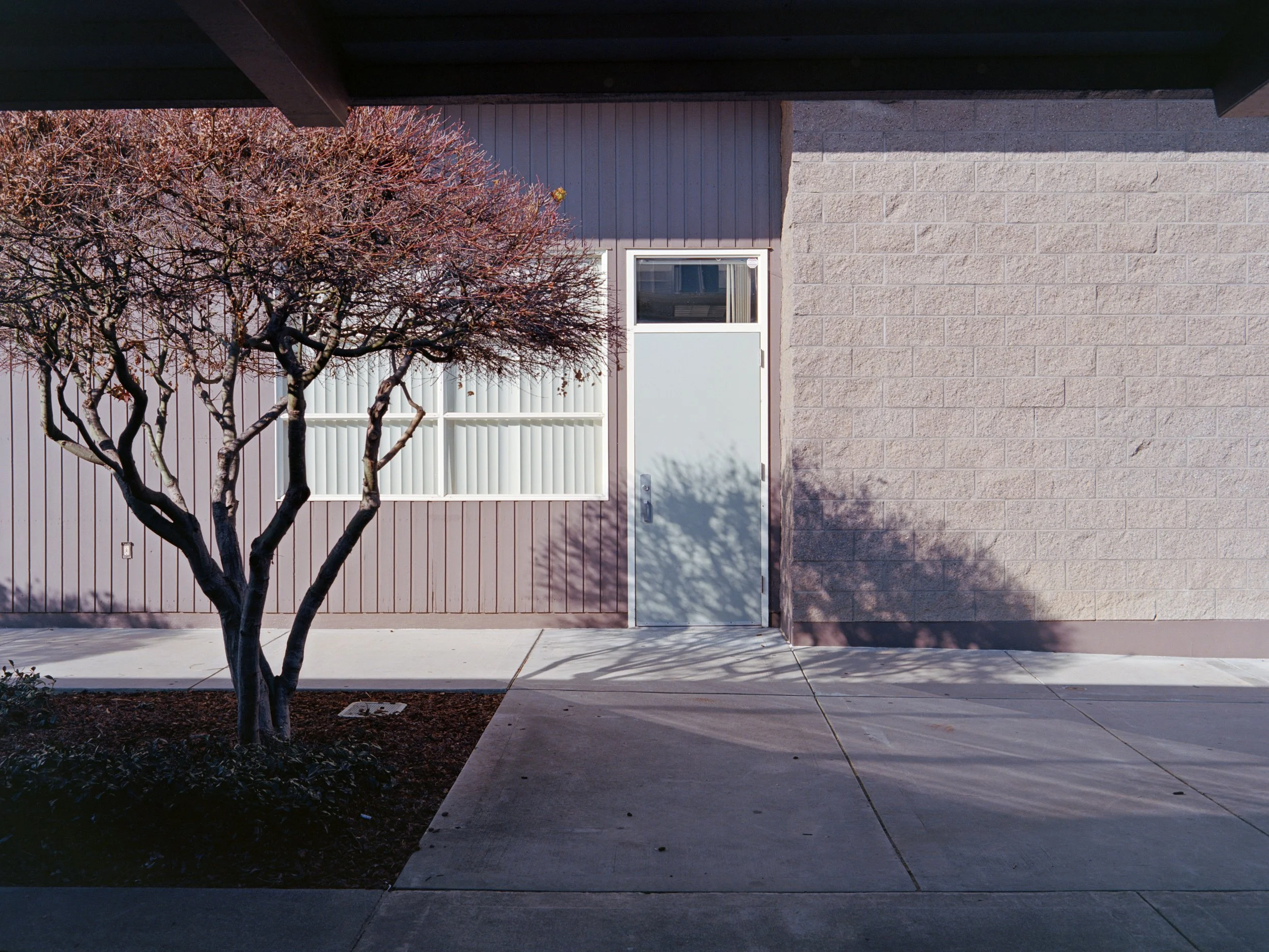 2-3-26-KodakEktar-100-120-R146-13 copy.jpg