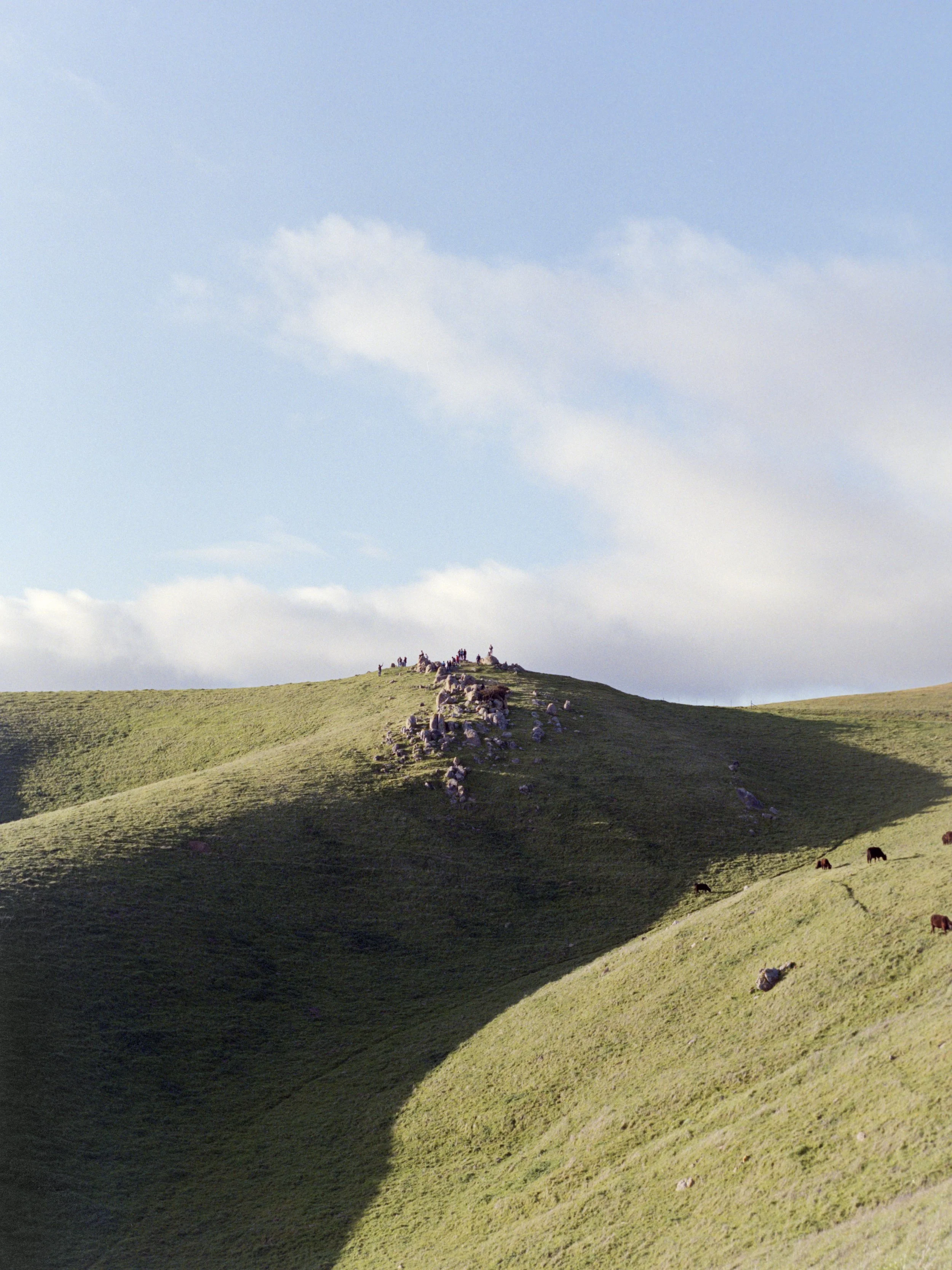 3-22-25-FujiPro400H-645-Expired-R76-_48Bit_g2p0398 copy 2.jpg