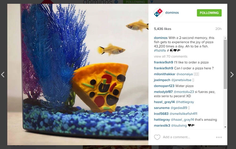 Copy of dominos_30.JPG