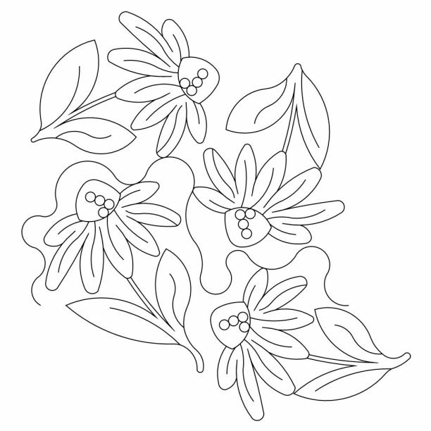 Echinacea E2E-0.jpeg