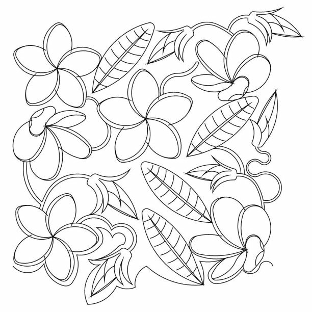 Tropical Plumeria E2E-0.jpeg