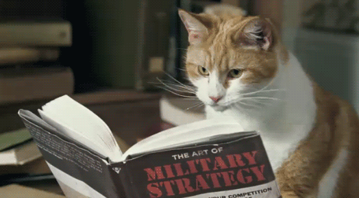 blogging-strategy.gif