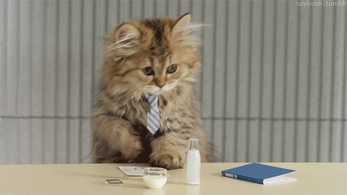 starting-a-small-business.gif