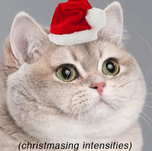christmas-contest.gif