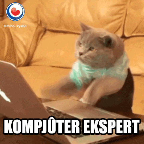 freelance-expert.gif