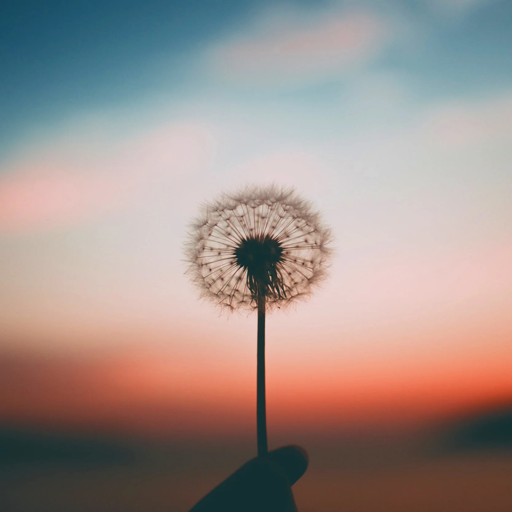 How to Quickly Weed Through Freelance Writing Job Ads