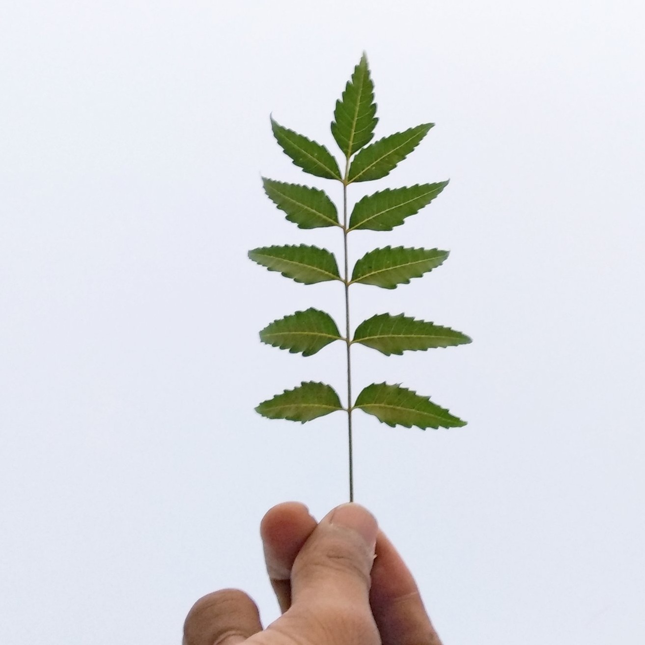 10 Easy Ways Writers Can Get a Dose of Vitamin N(ature) in Just 10 Minutes