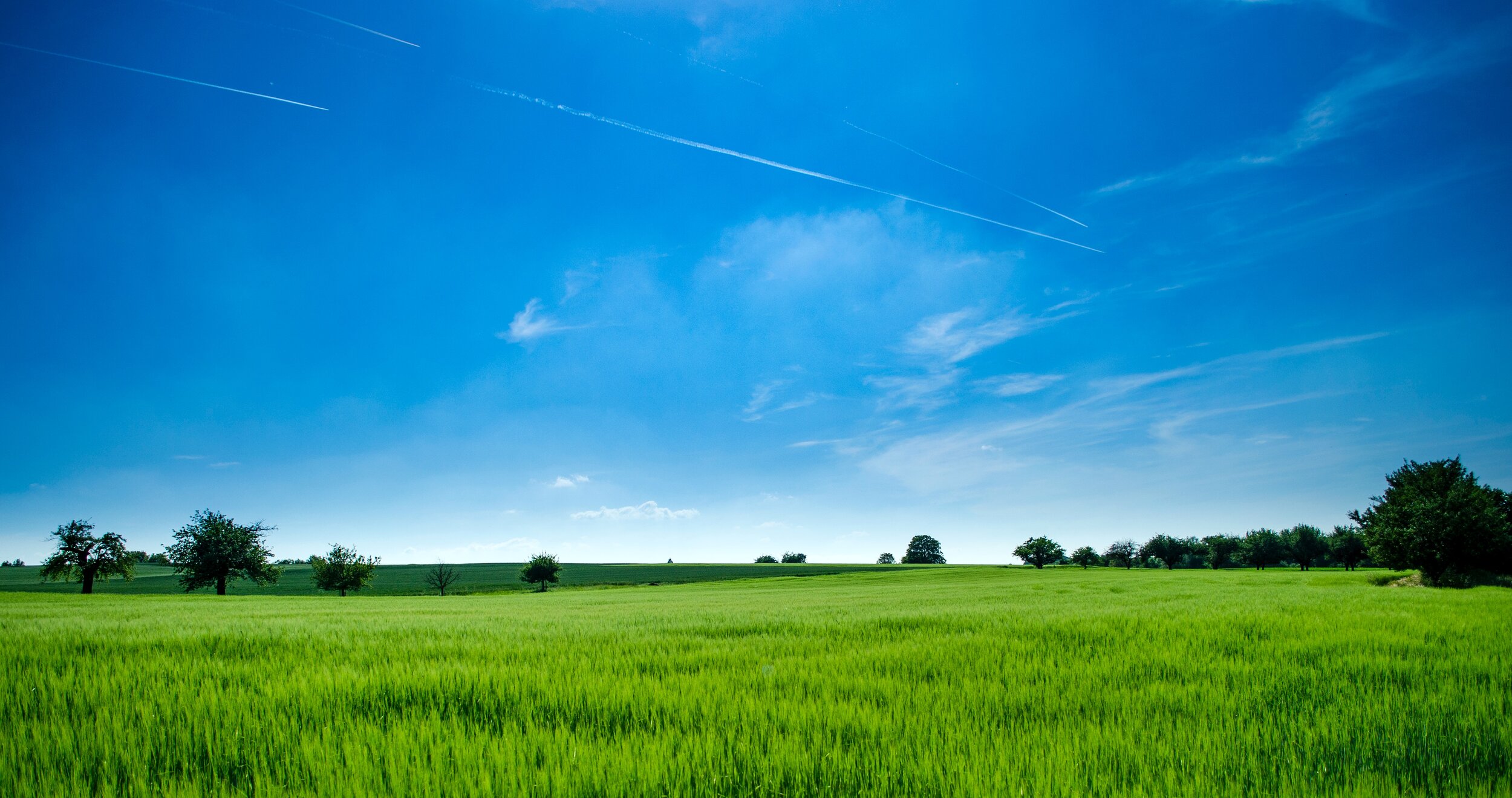 Freelancing: Is the Grass Really Greener?