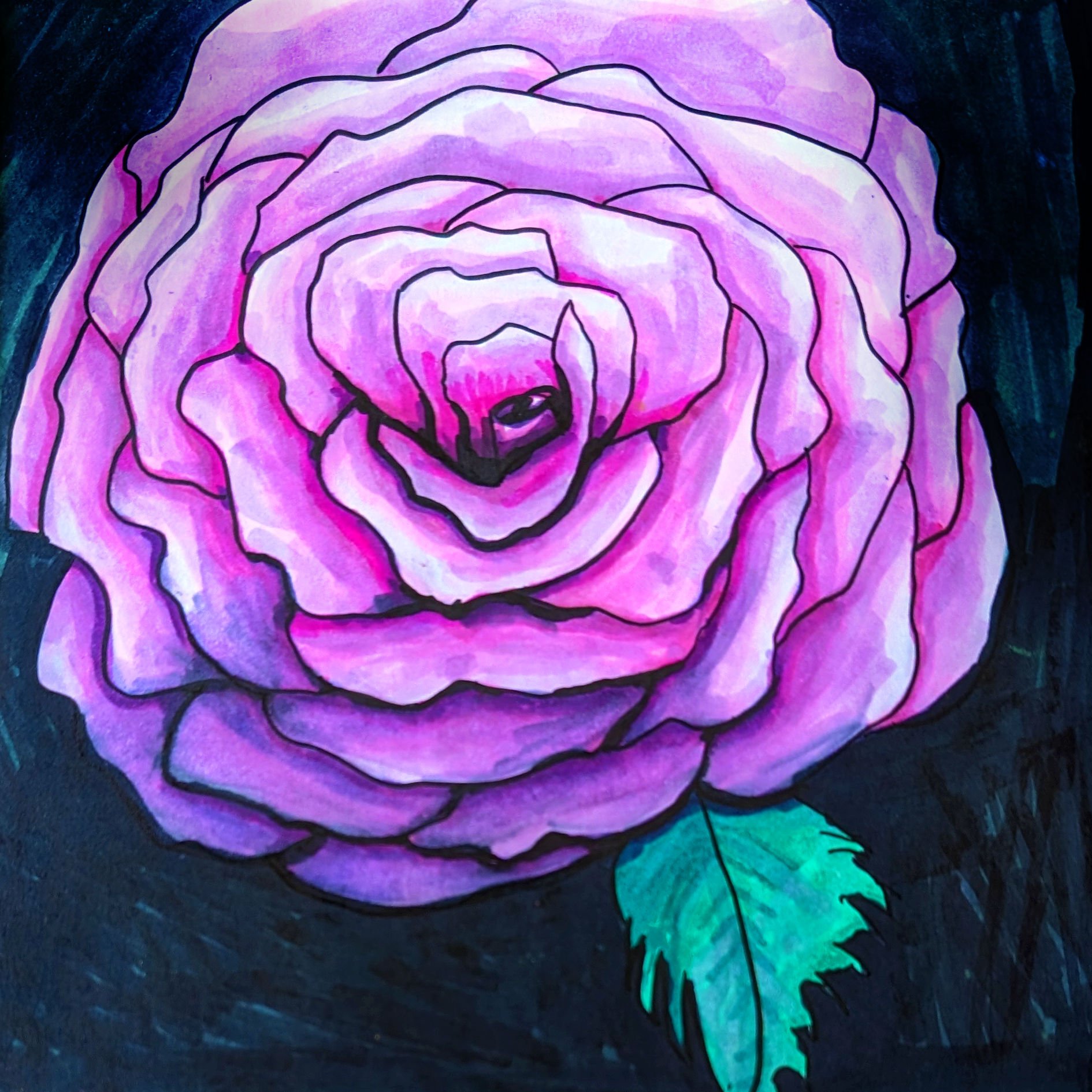 Rose.jpg