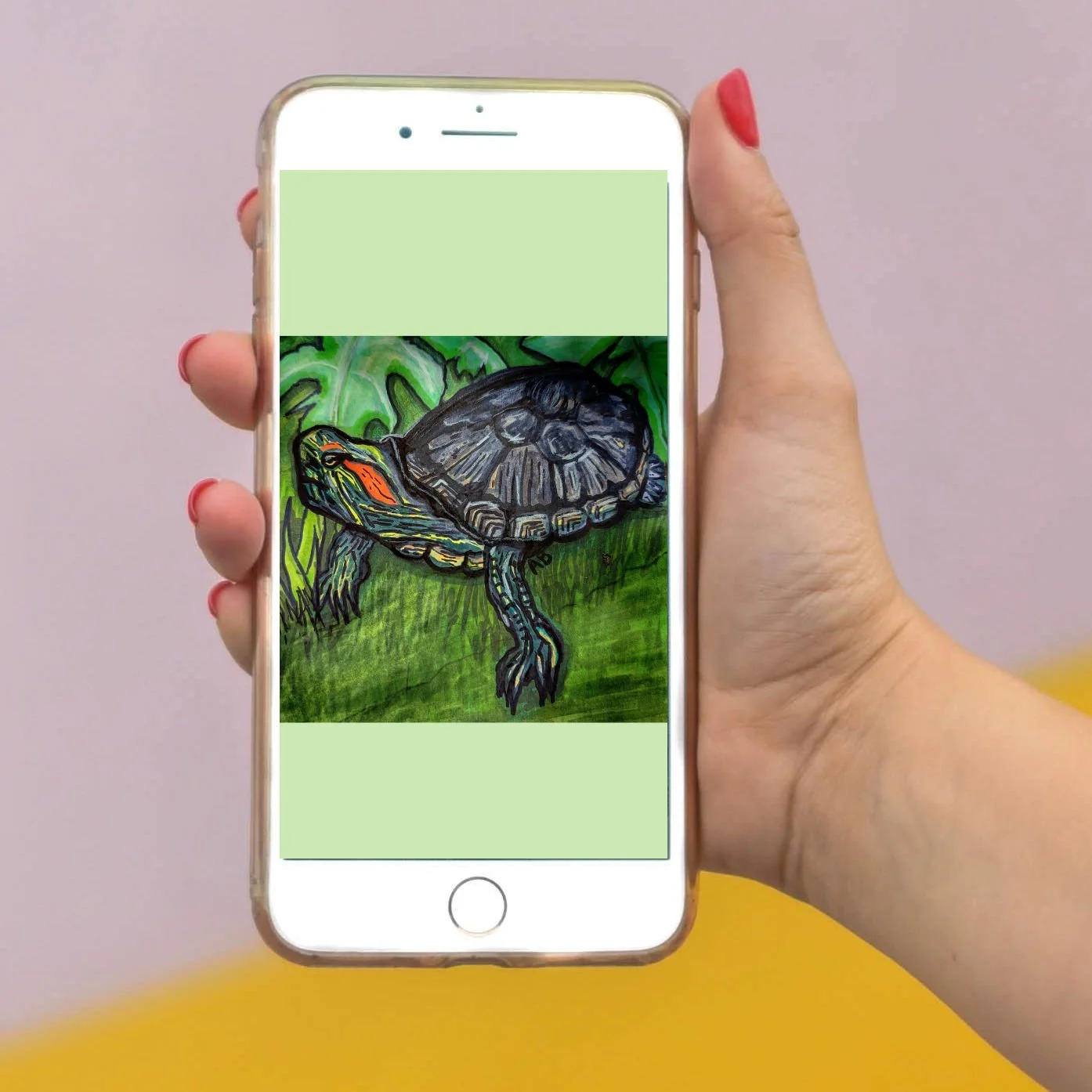 Papaya the Turtle Phone Wallpaper