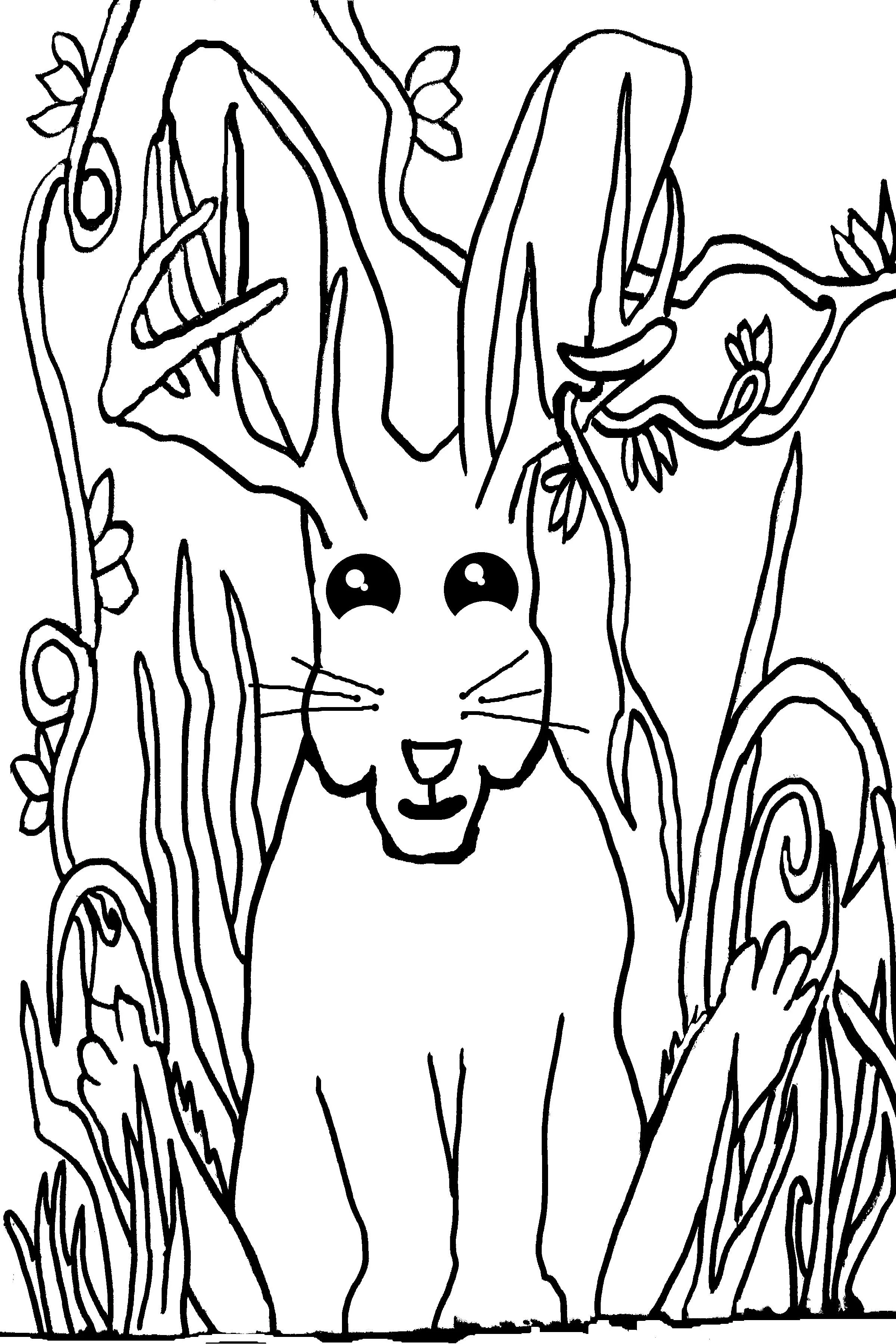 Jackalope.jpg