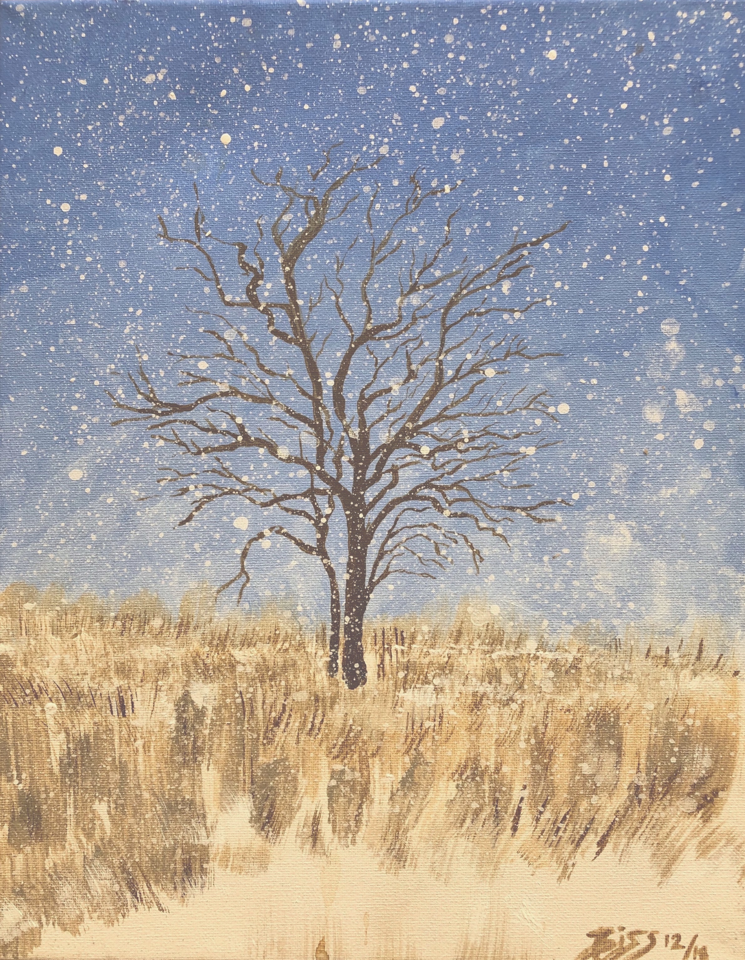 Early Winter Tree 