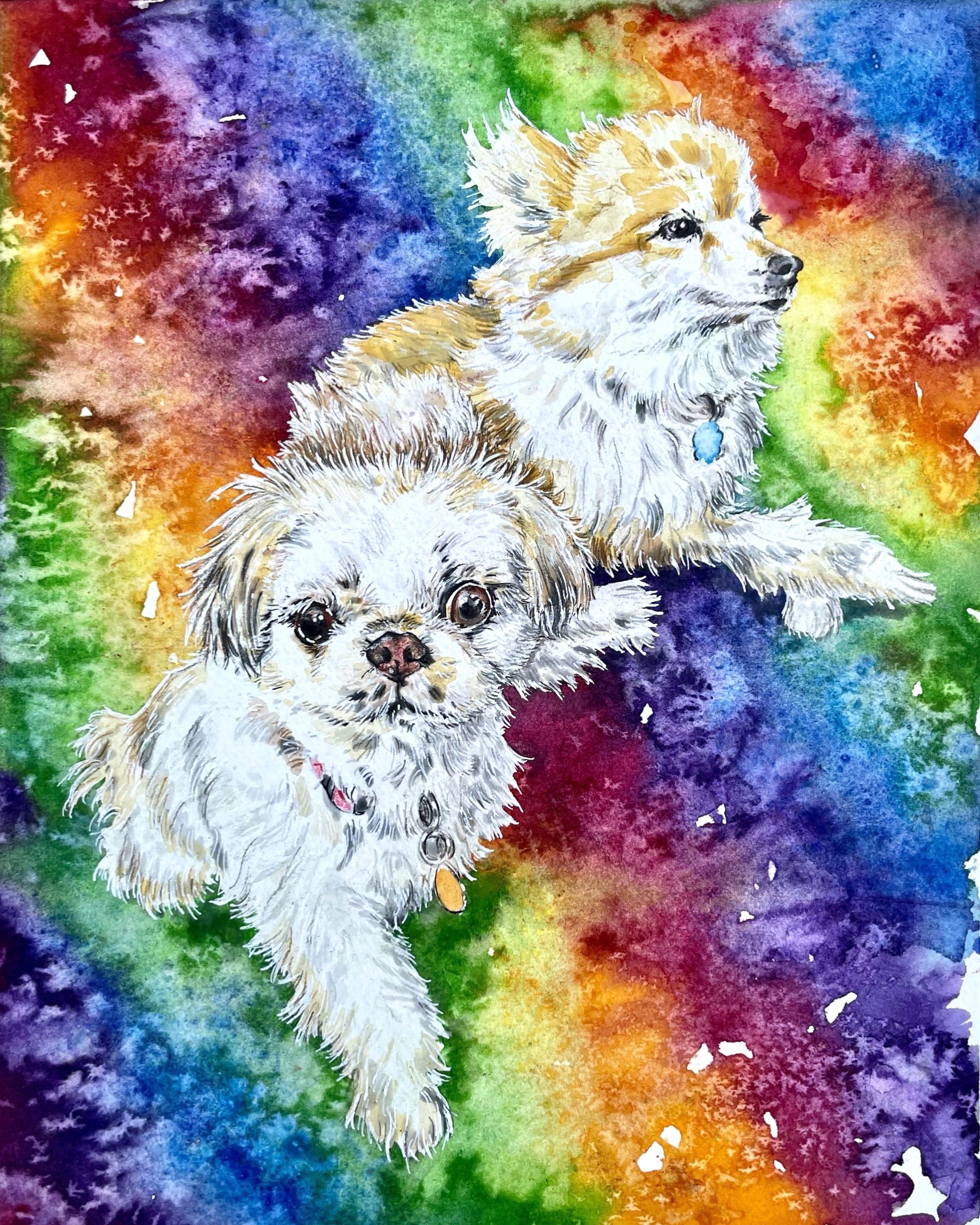 Rainbow  Pups