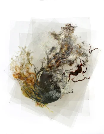 DISPERSION 5 (OIL)