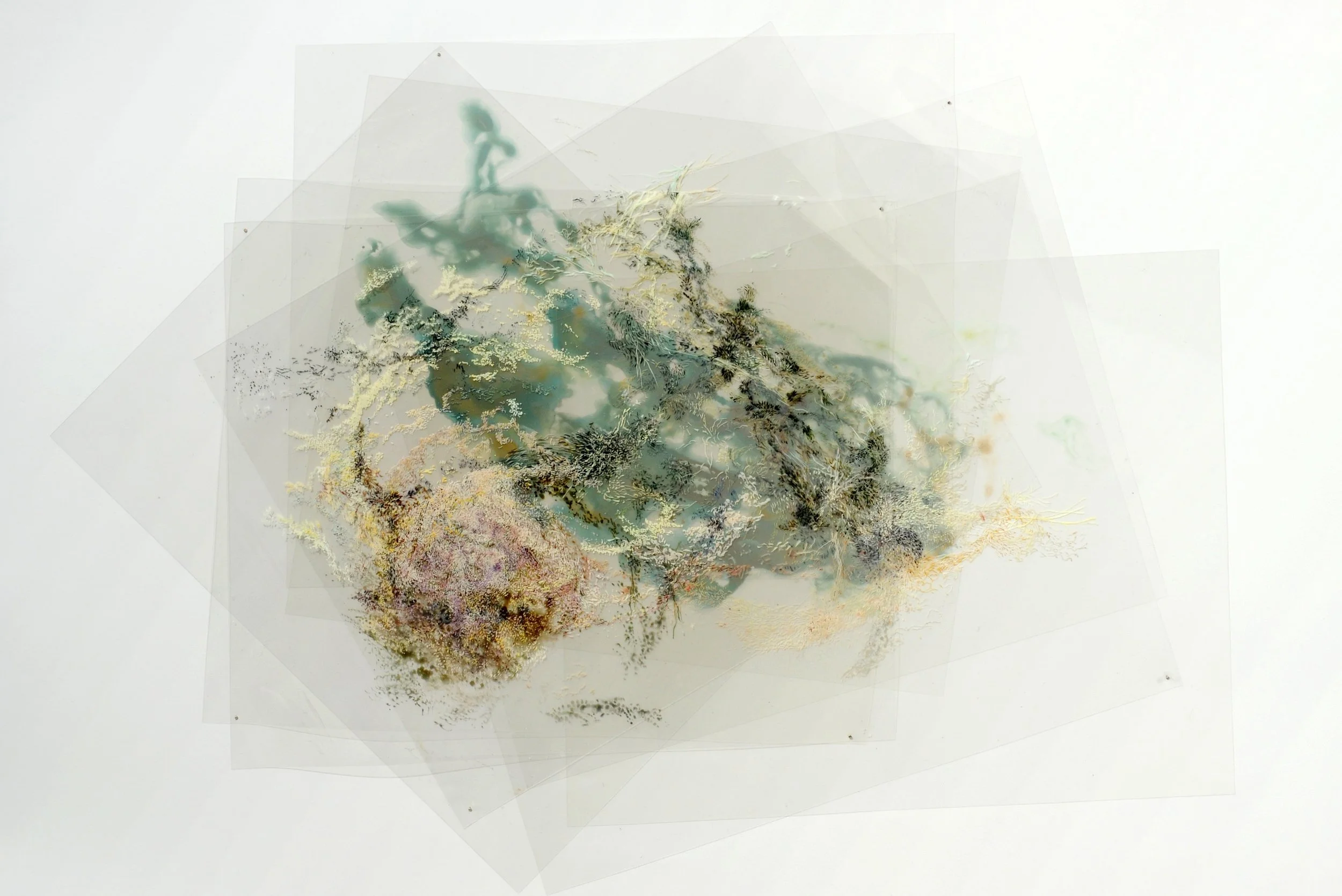 DISPERSION 3 (ASH)