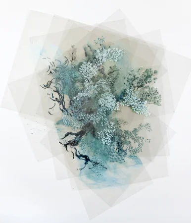 VORTEX