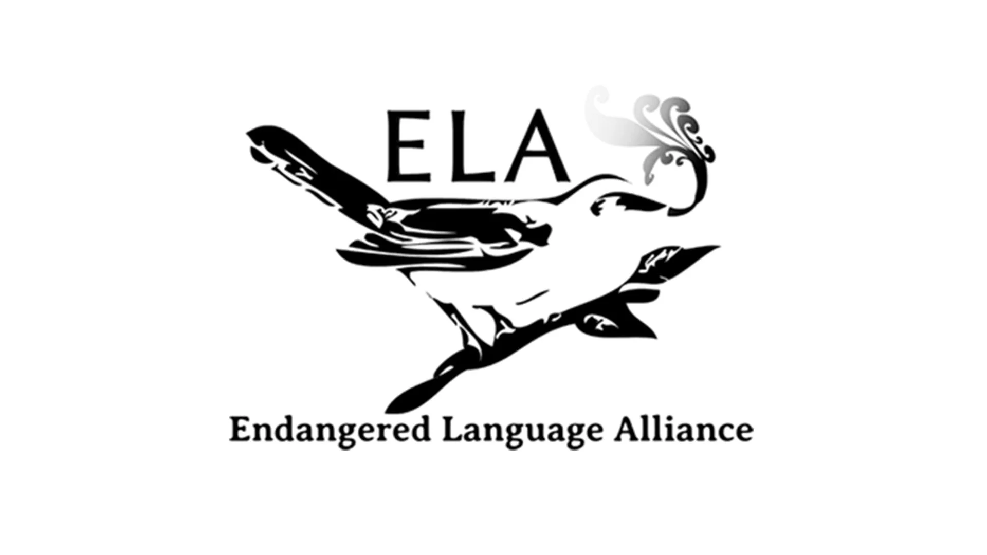 ELA.jpg