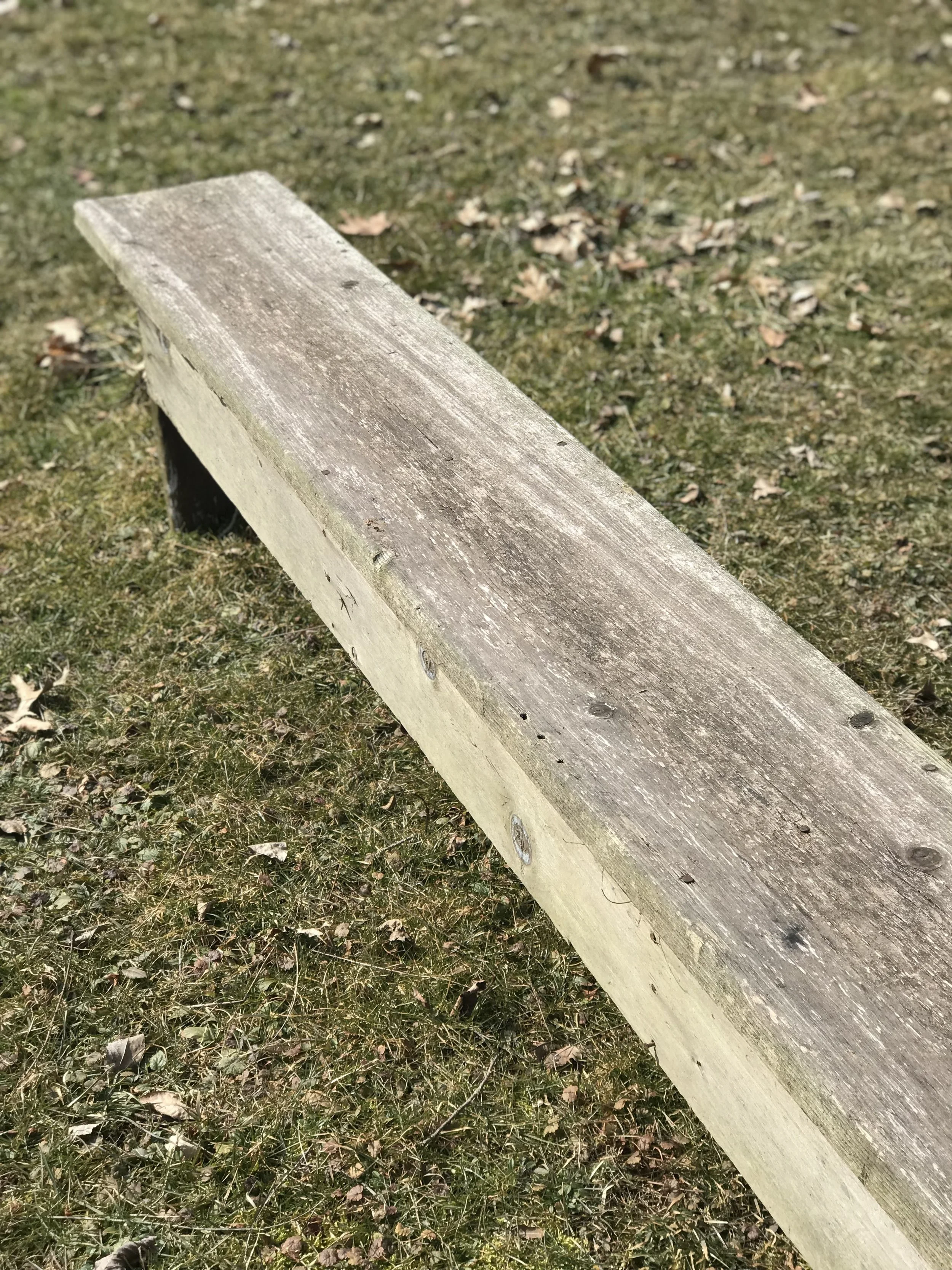 Goldilocks Bench