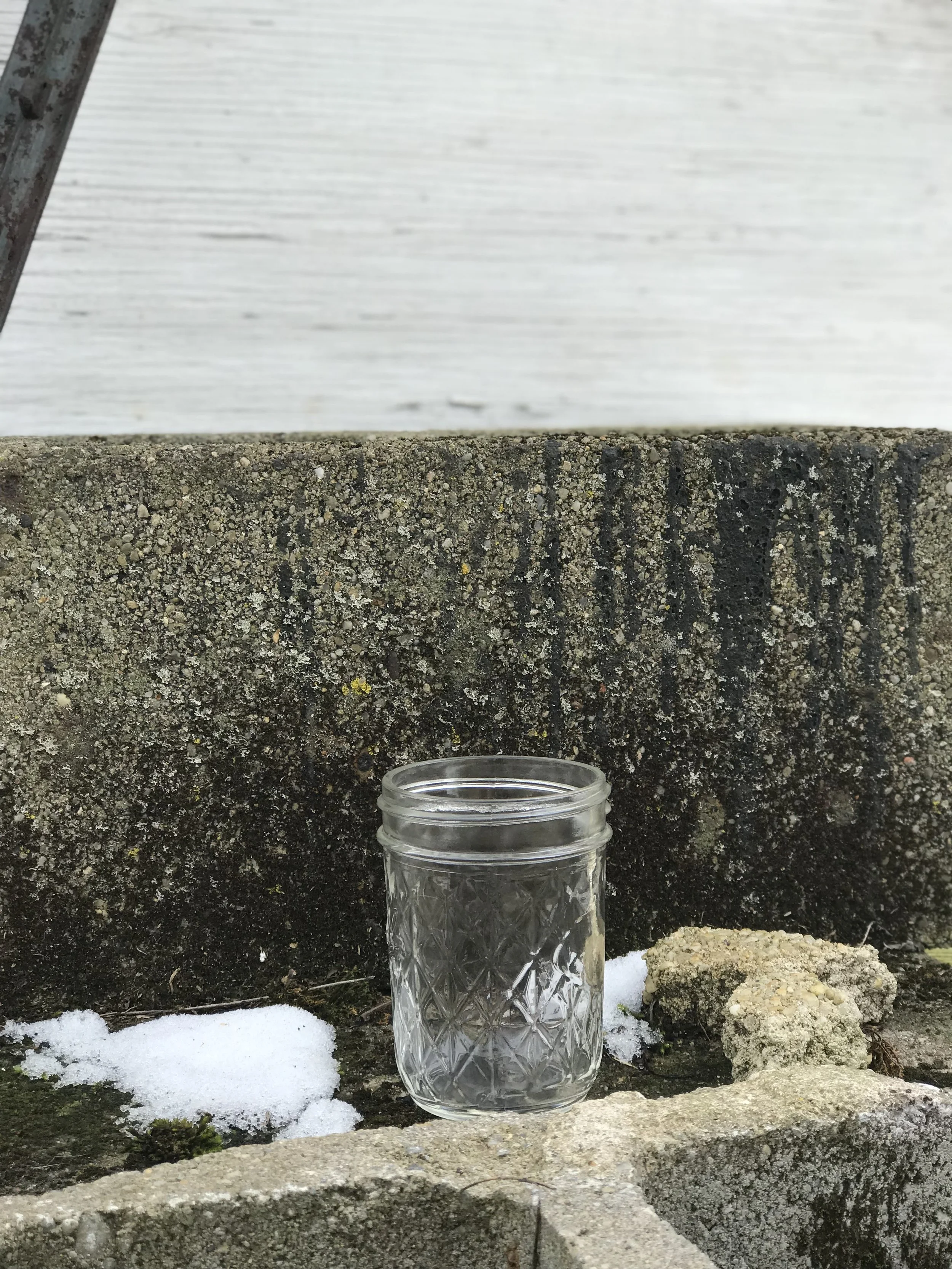 Gin &amp; Juice Cups