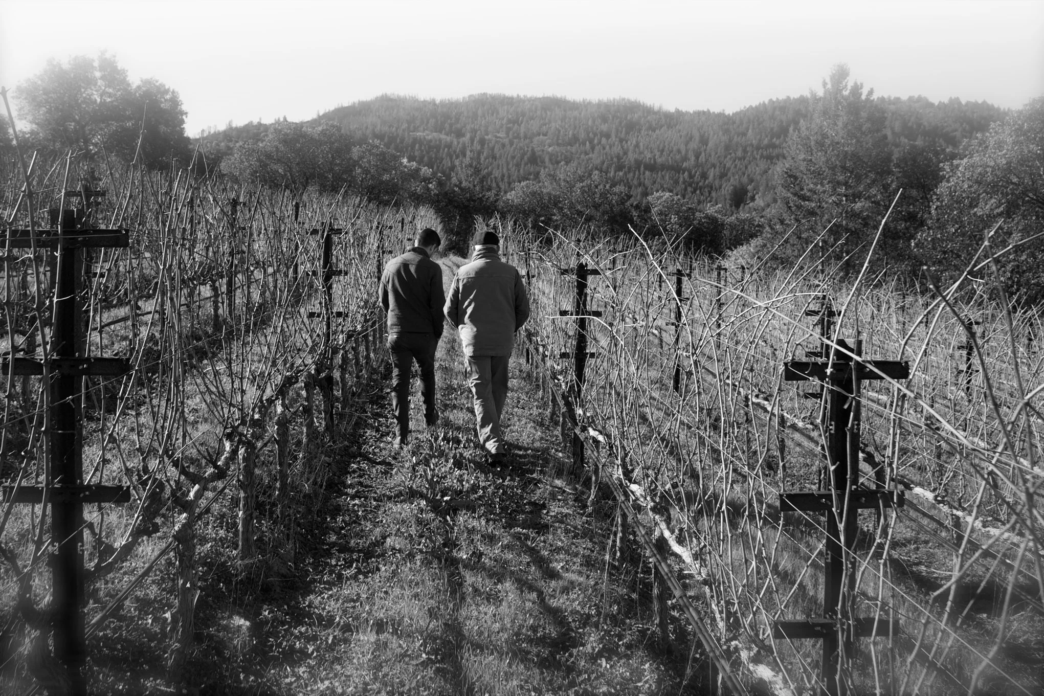 Sam & Dan at Beller Vineyard