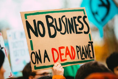 Four things businesses can do to combat climate change 
