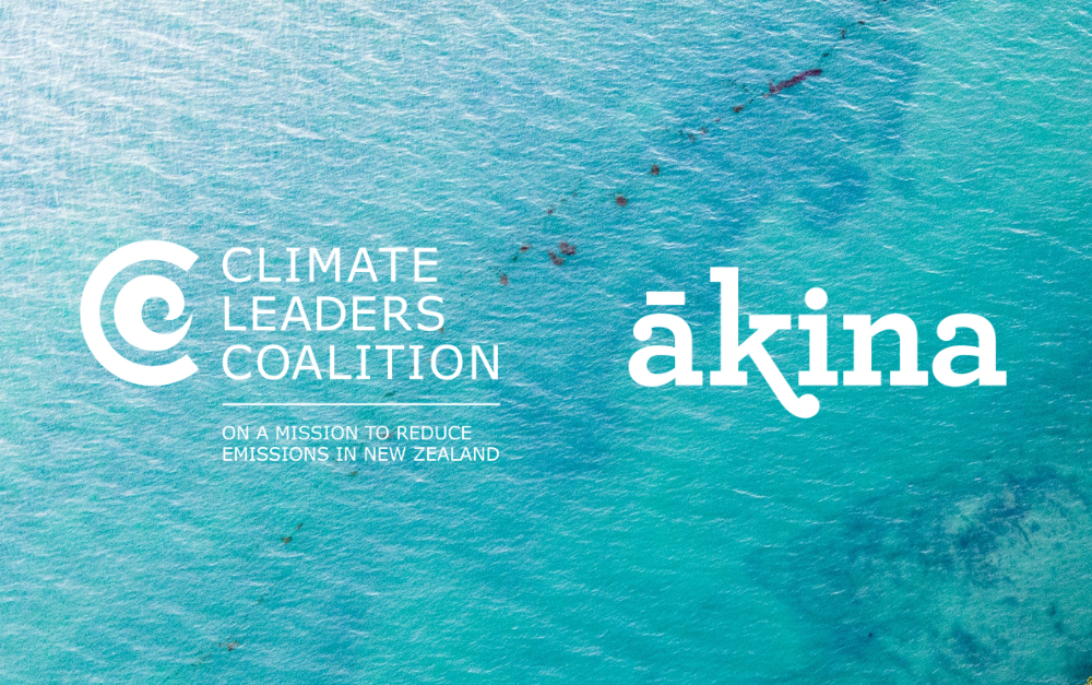 Meeting Climate Leaders Coalition's New Ambition Requirements