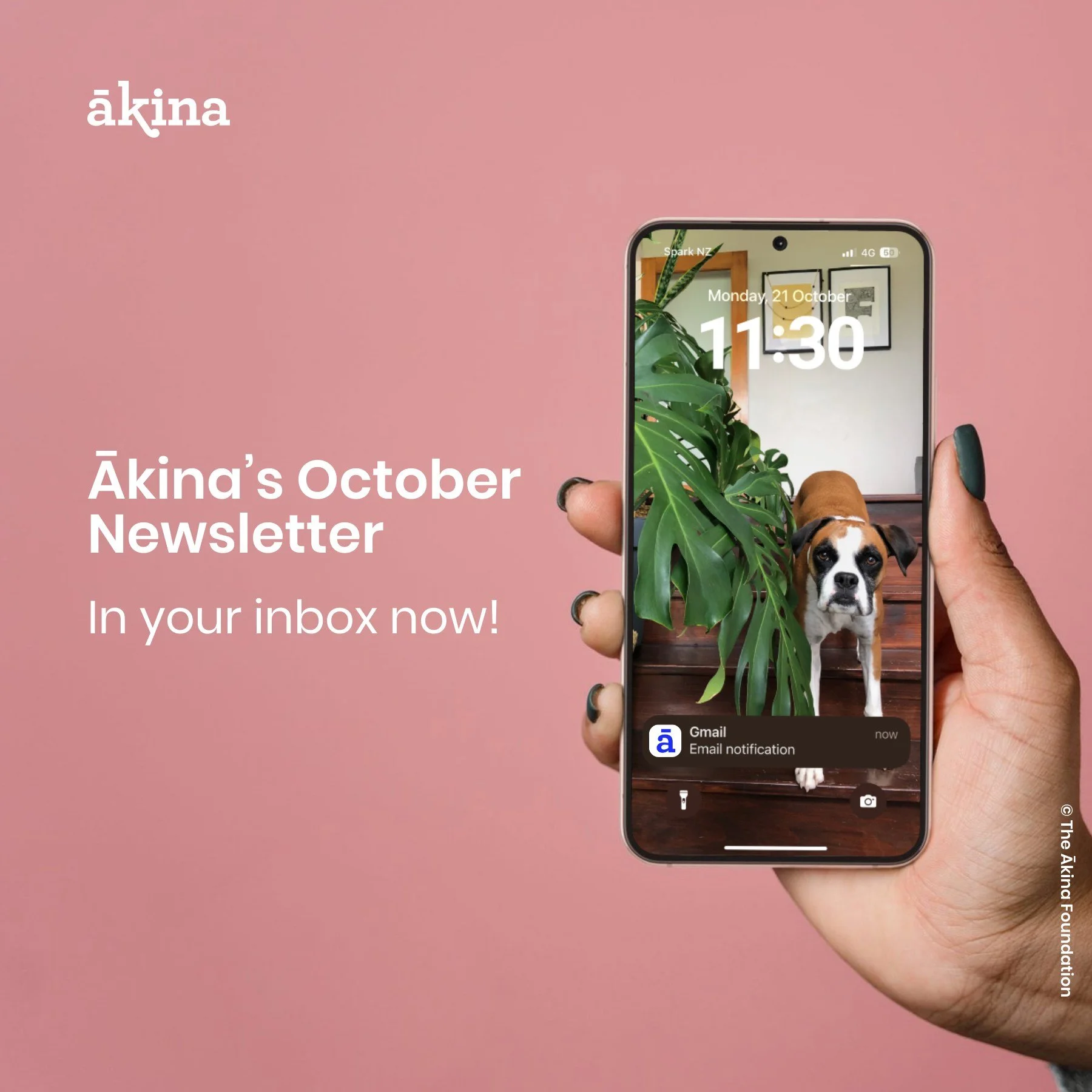 The Ākina tīma has been ki wīwī, ki wāwā (here, there, and everywhere) since the last newsletter.

📨 The latest Ākina Newsletter has just landed in your inbox. If you haven't subscribed yet - sign up now (link in bio)