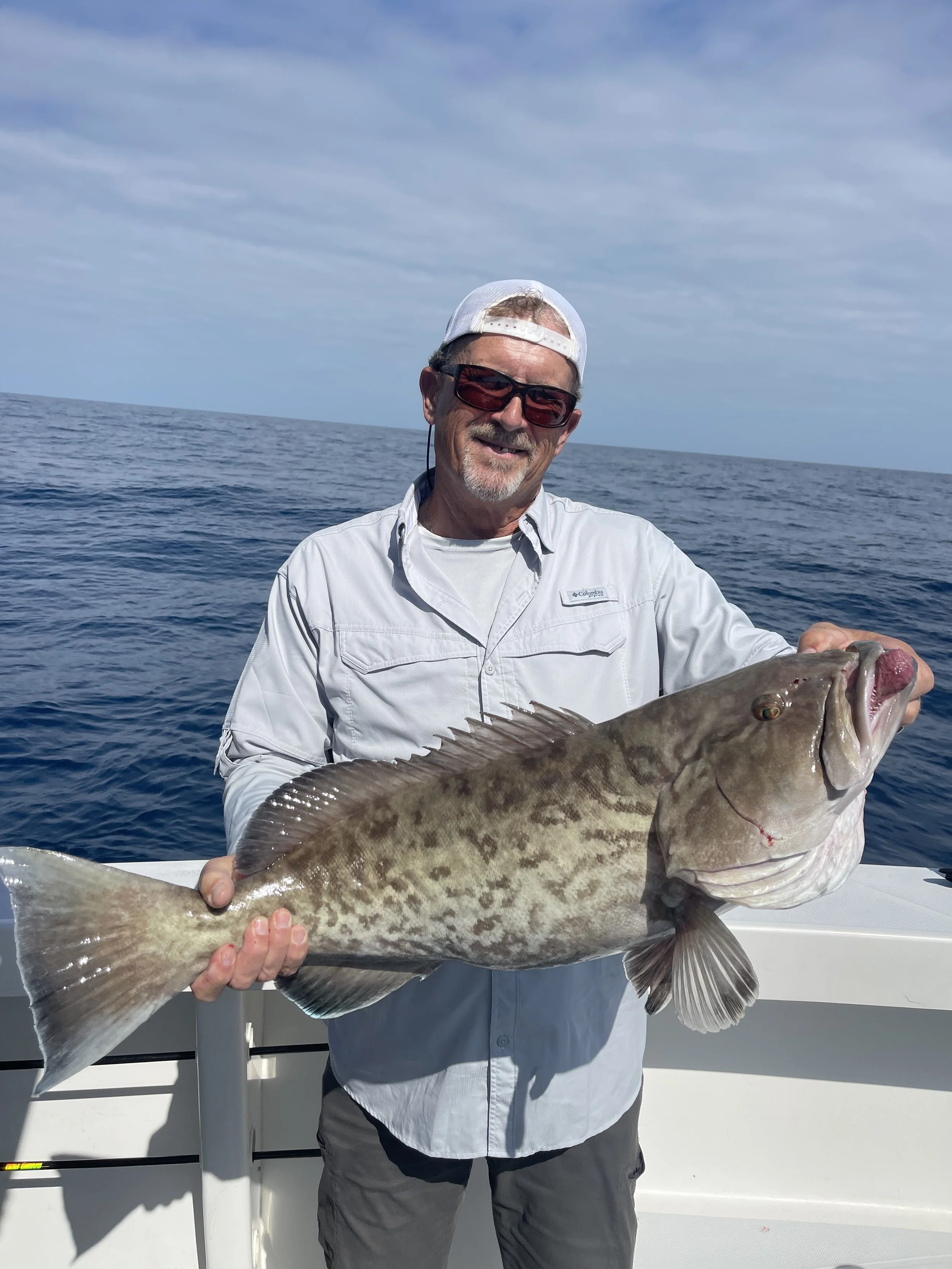 Gag Grouper
