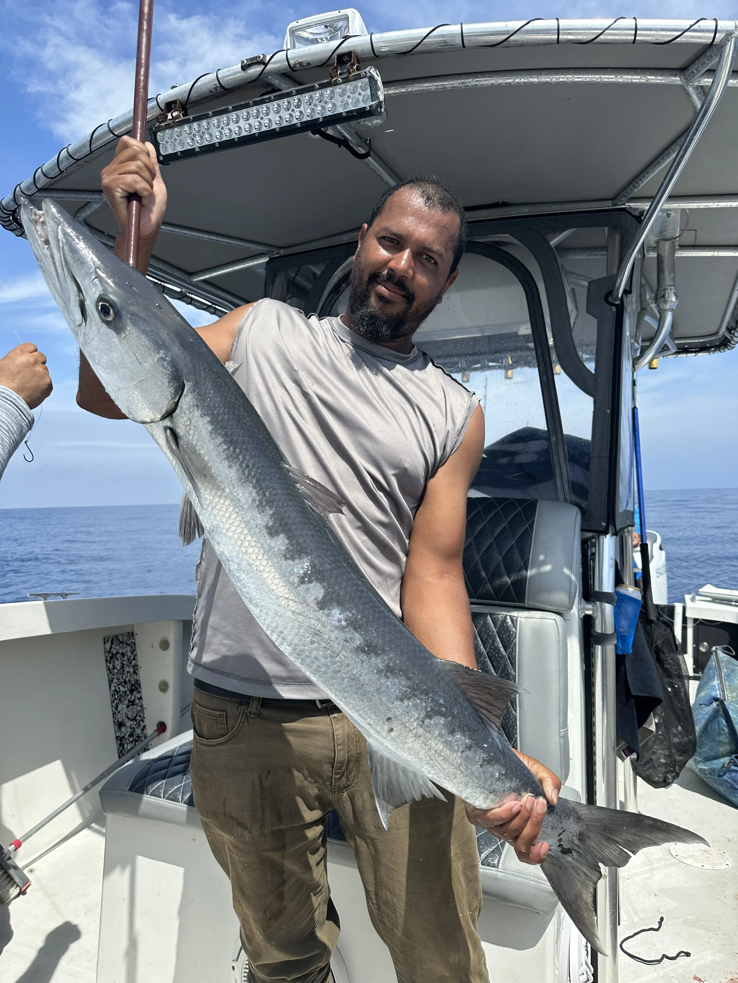Barracudas 