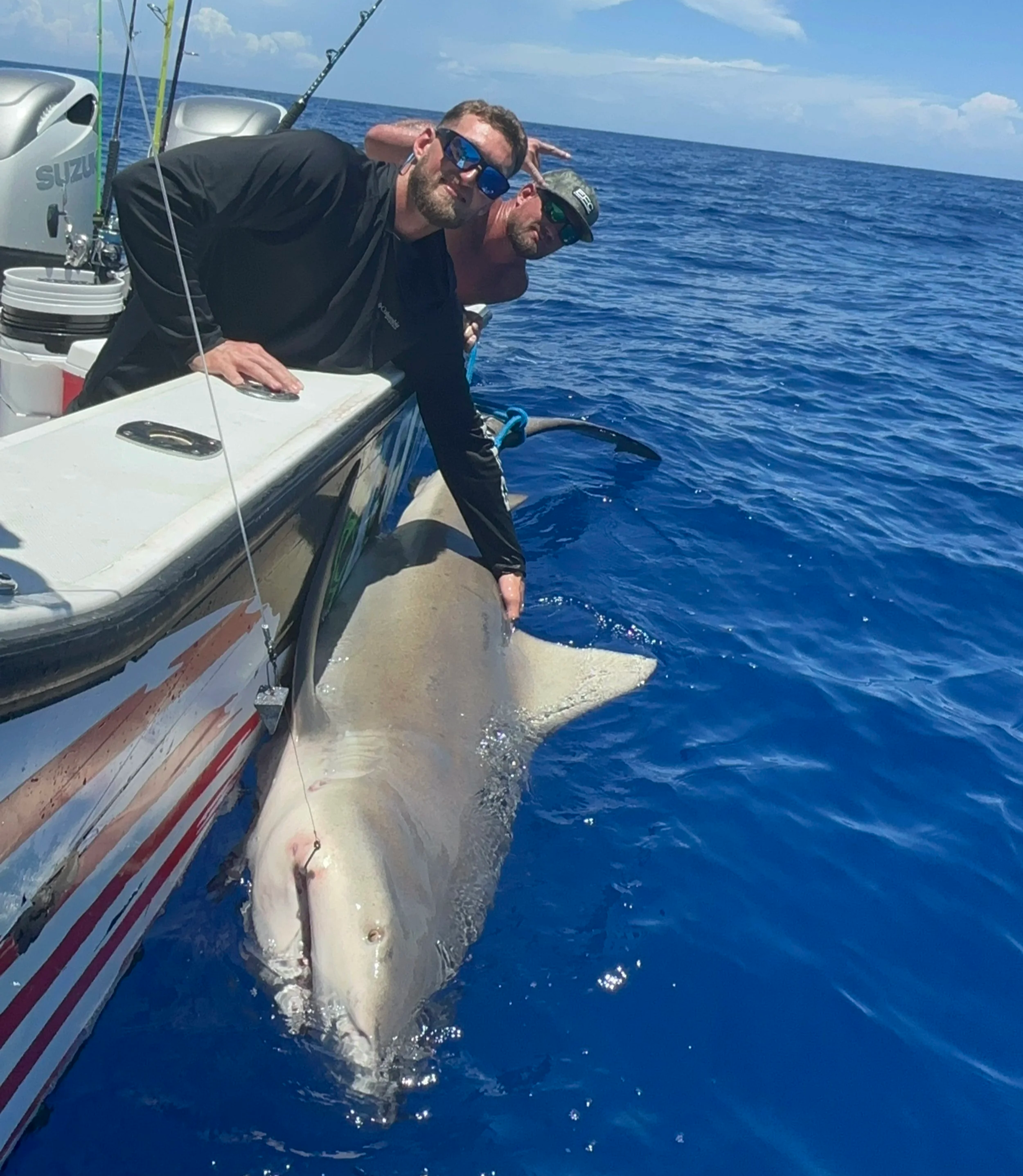 Bull Shark Caught During Deep Sea Shark Fishing Charter. Kick Azz Fishing Charters