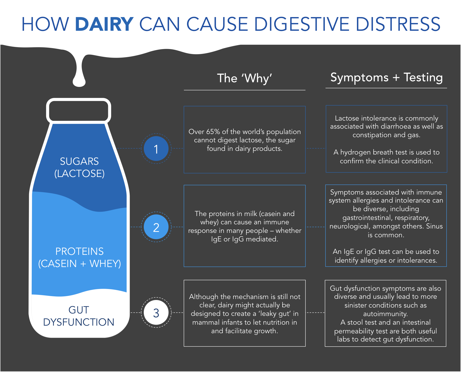 Why Dairy Might Be Causing Your Digestive Distress