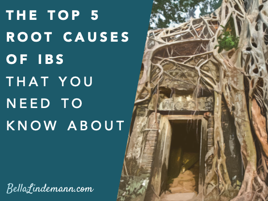 IBS Root Causes.png